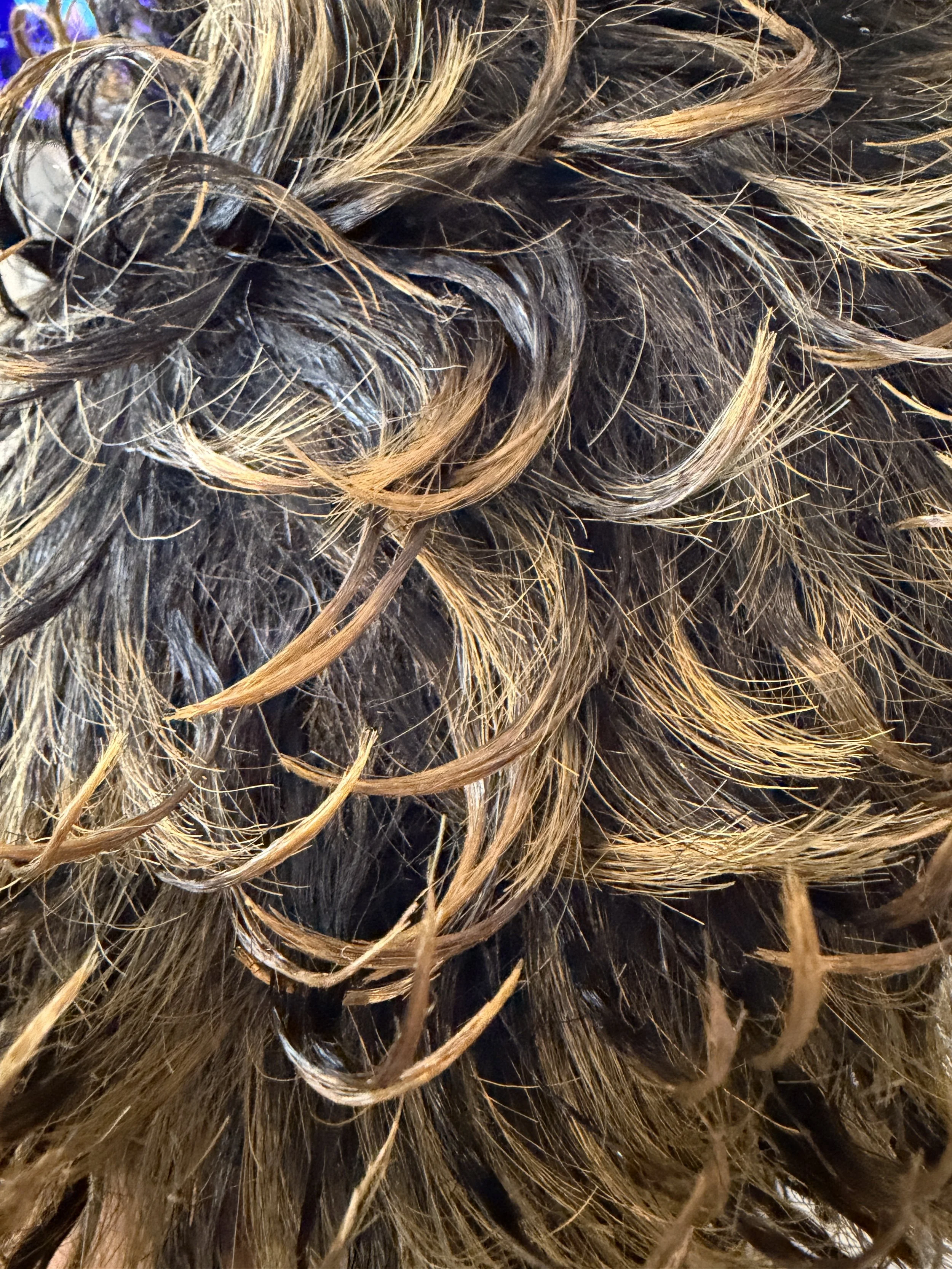 2T1B:144_Off Black and Gold Blonde Two-Tone.JPG