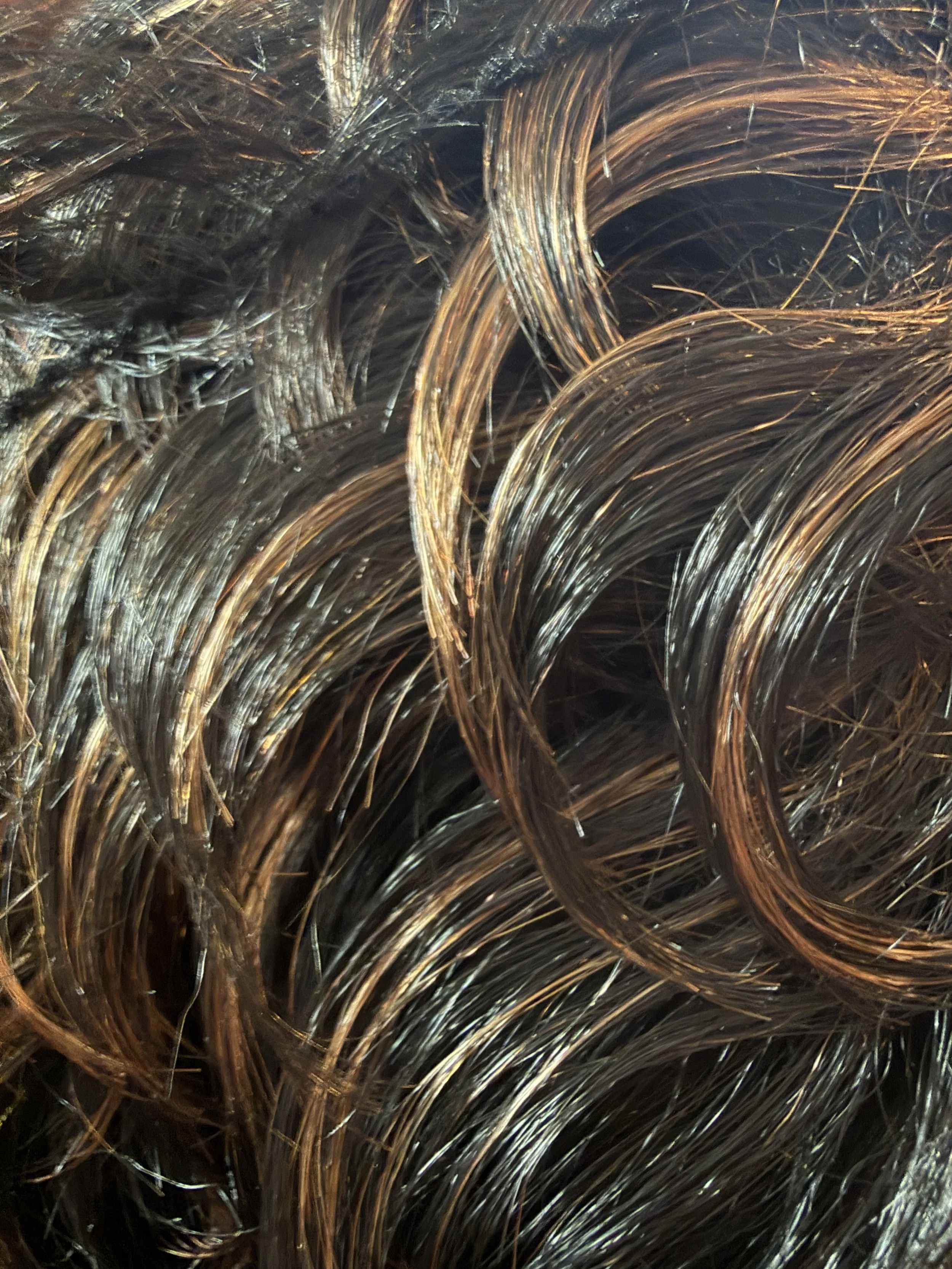 TL1B:27_Off Black w:Light Ash Blonde Highlights.jpeg