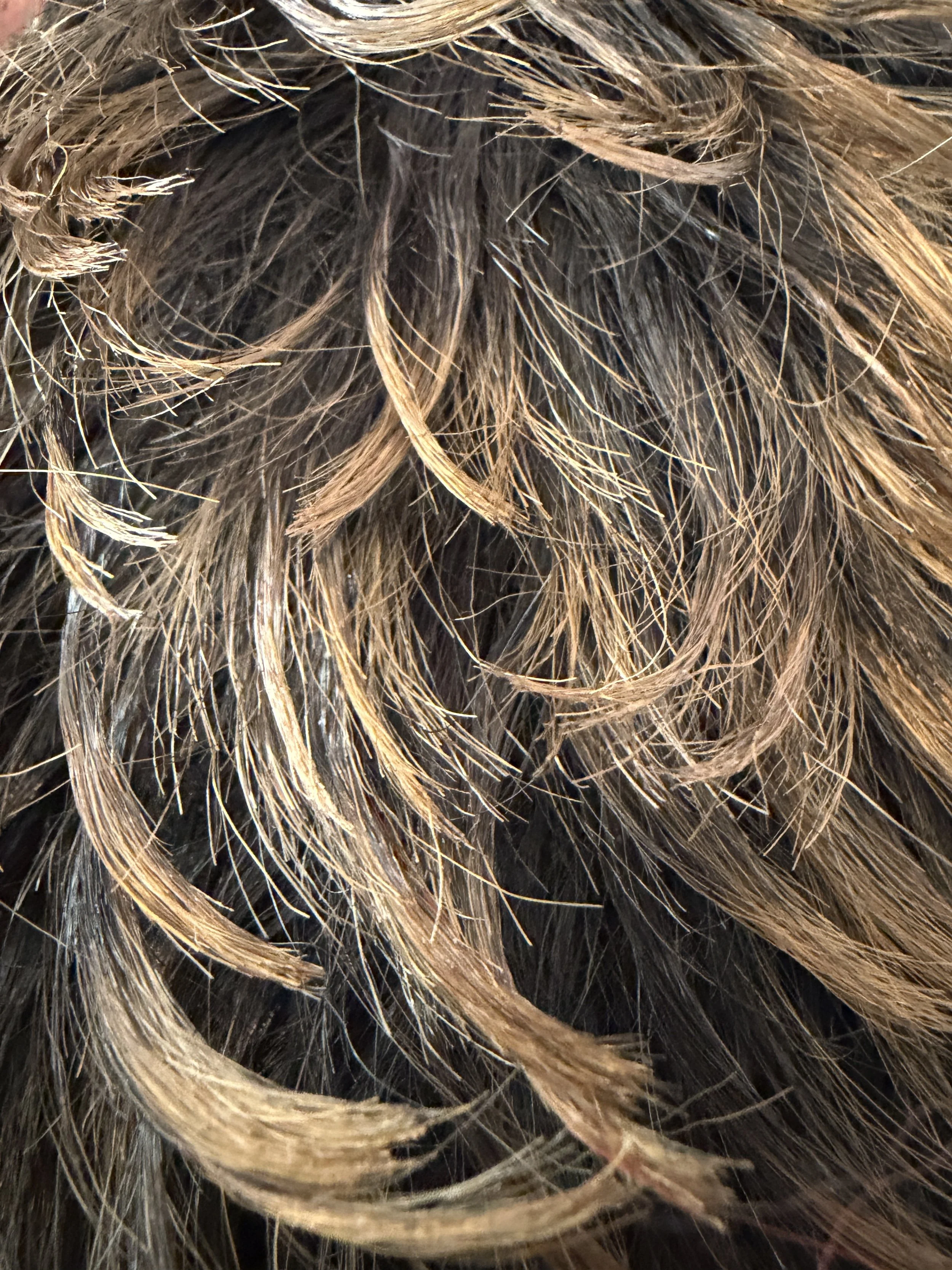 2T1B:27S_Off Black and Light Ash Blonde Two-Tone.JPG