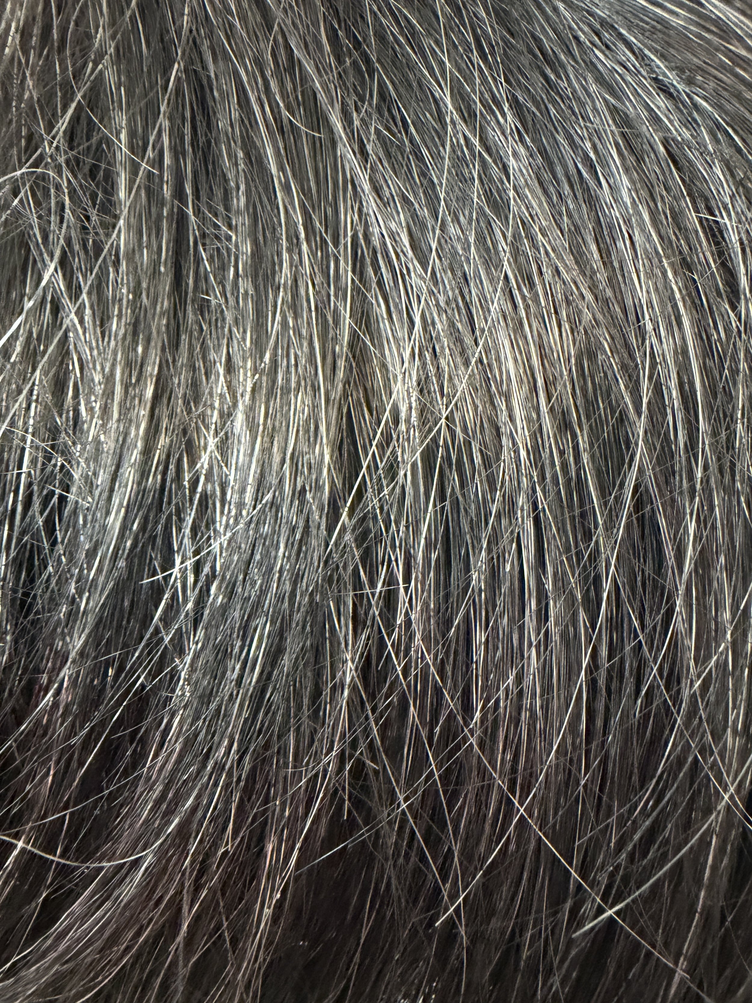 280_Off Black w:15% Gray.JPG