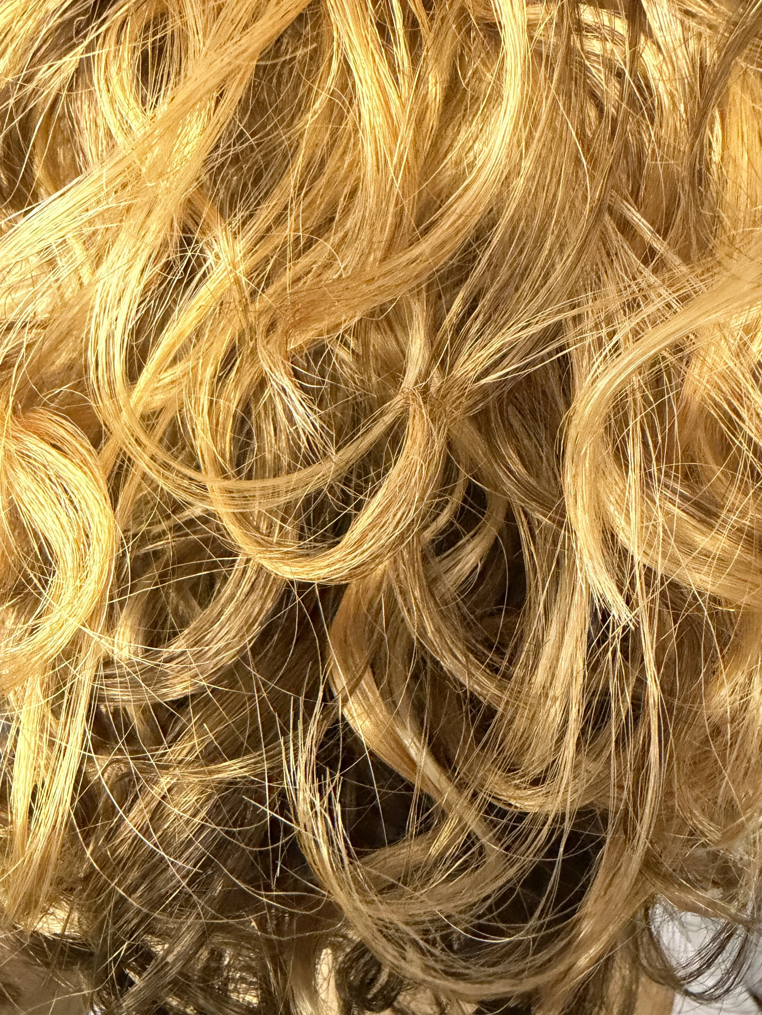 F2231_Medium Brown Bottom and Light Gold Blonde Top Ombre.JPG