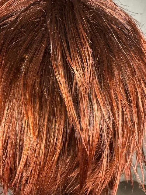 F2011_Bright Cherry w:Dark Auburn Highlights.JPG