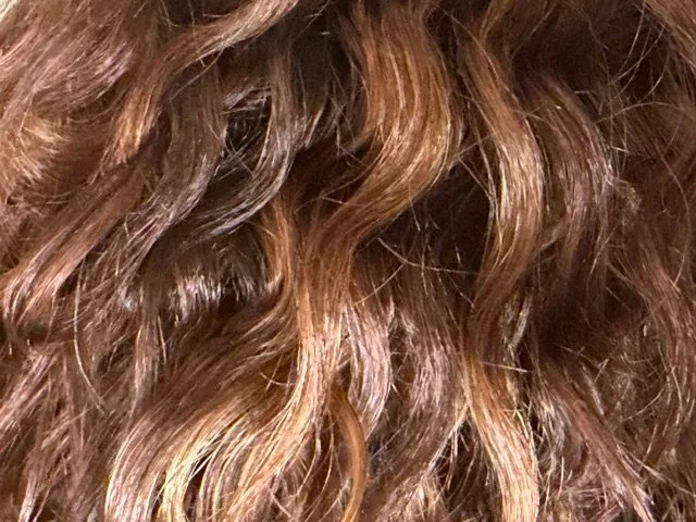 F2061A_Cherry Auburn and Dark Auburn Ombre.JPG