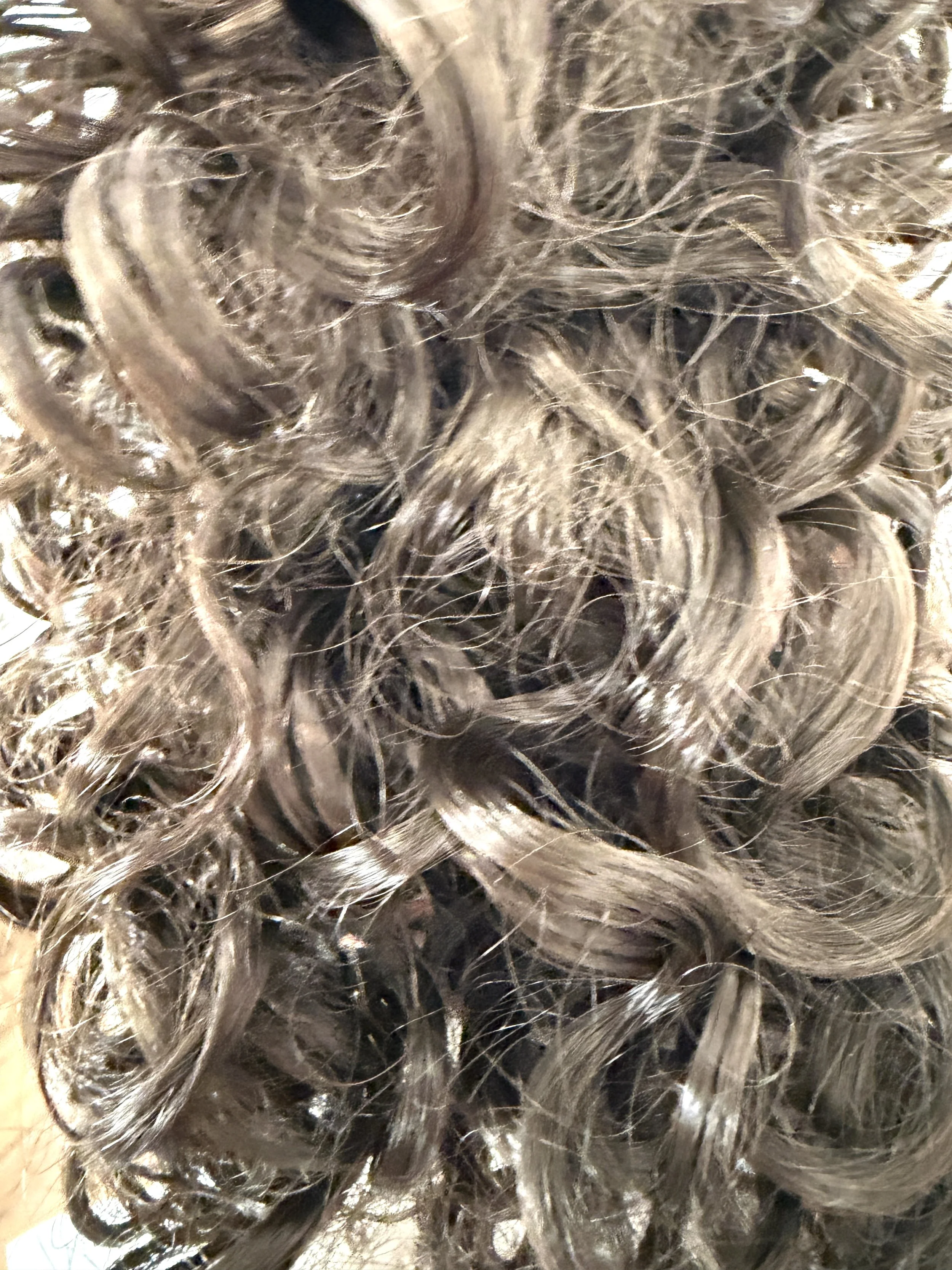 Color 4_Curly Synth.jpg