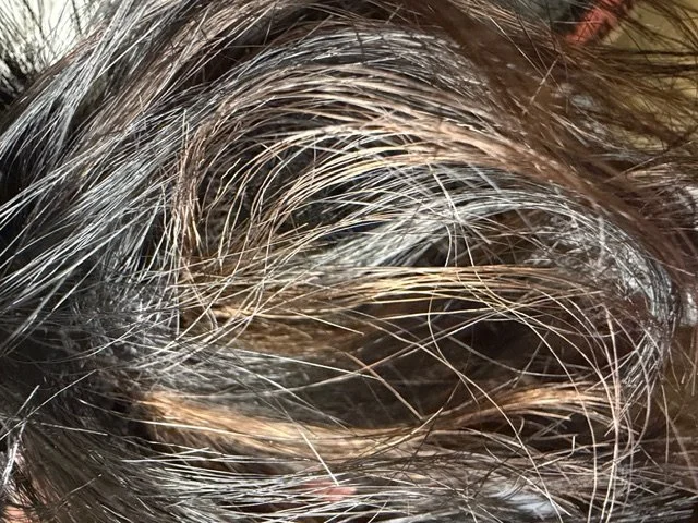 FS1B:33_Off Black w:Dark Auburn Highlights.JPG