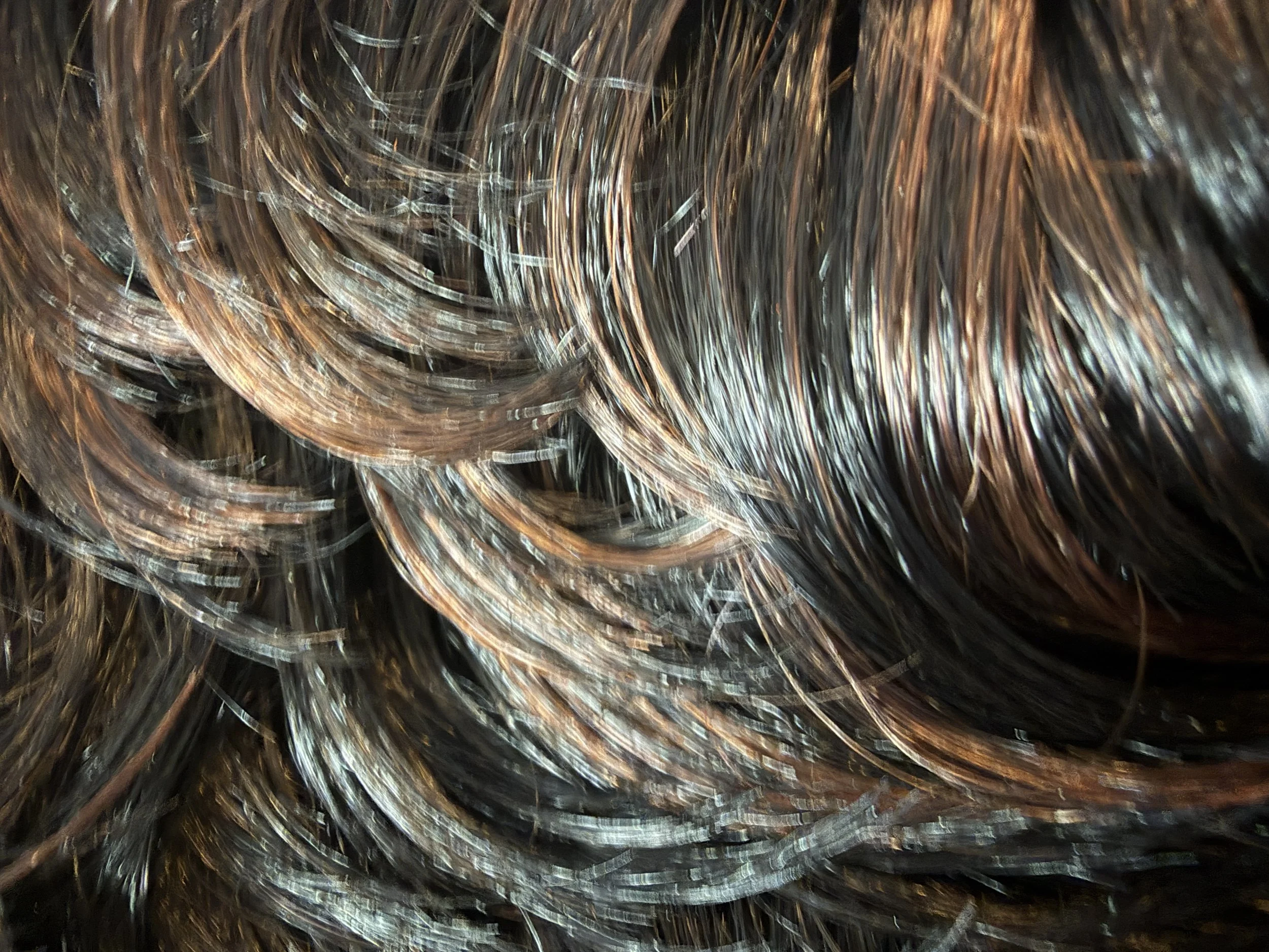 TL1B:30_Off Black w:Light Auburn Highlights.jpeg