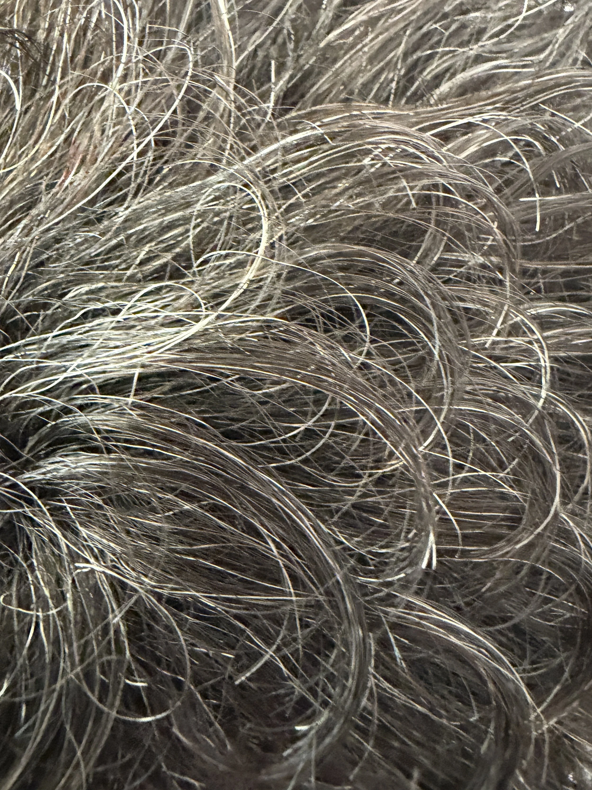 280_.Off Black w:15-20% GrayJPG.JPG