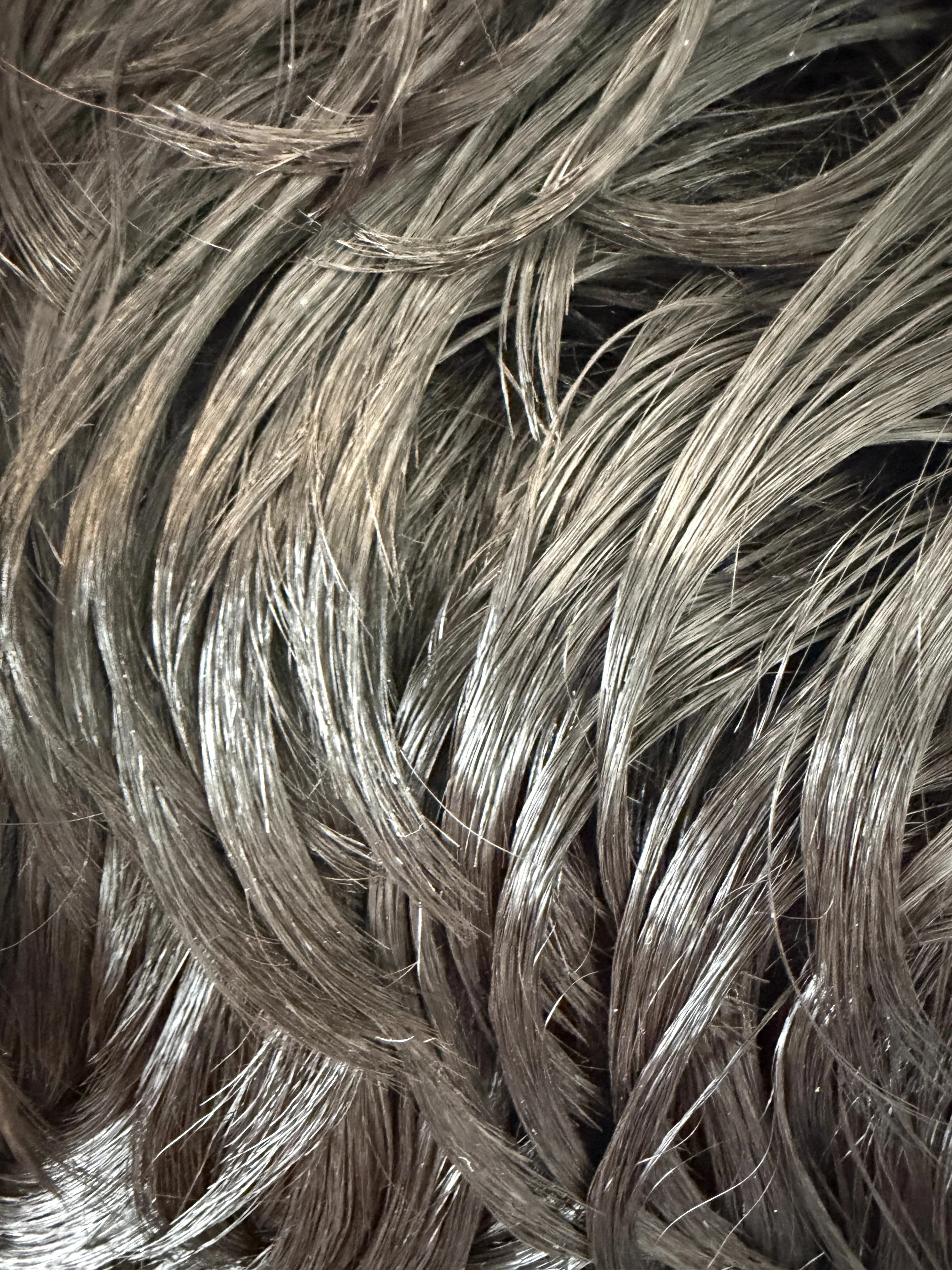 Color 1B_Wet Look Synth.jpg