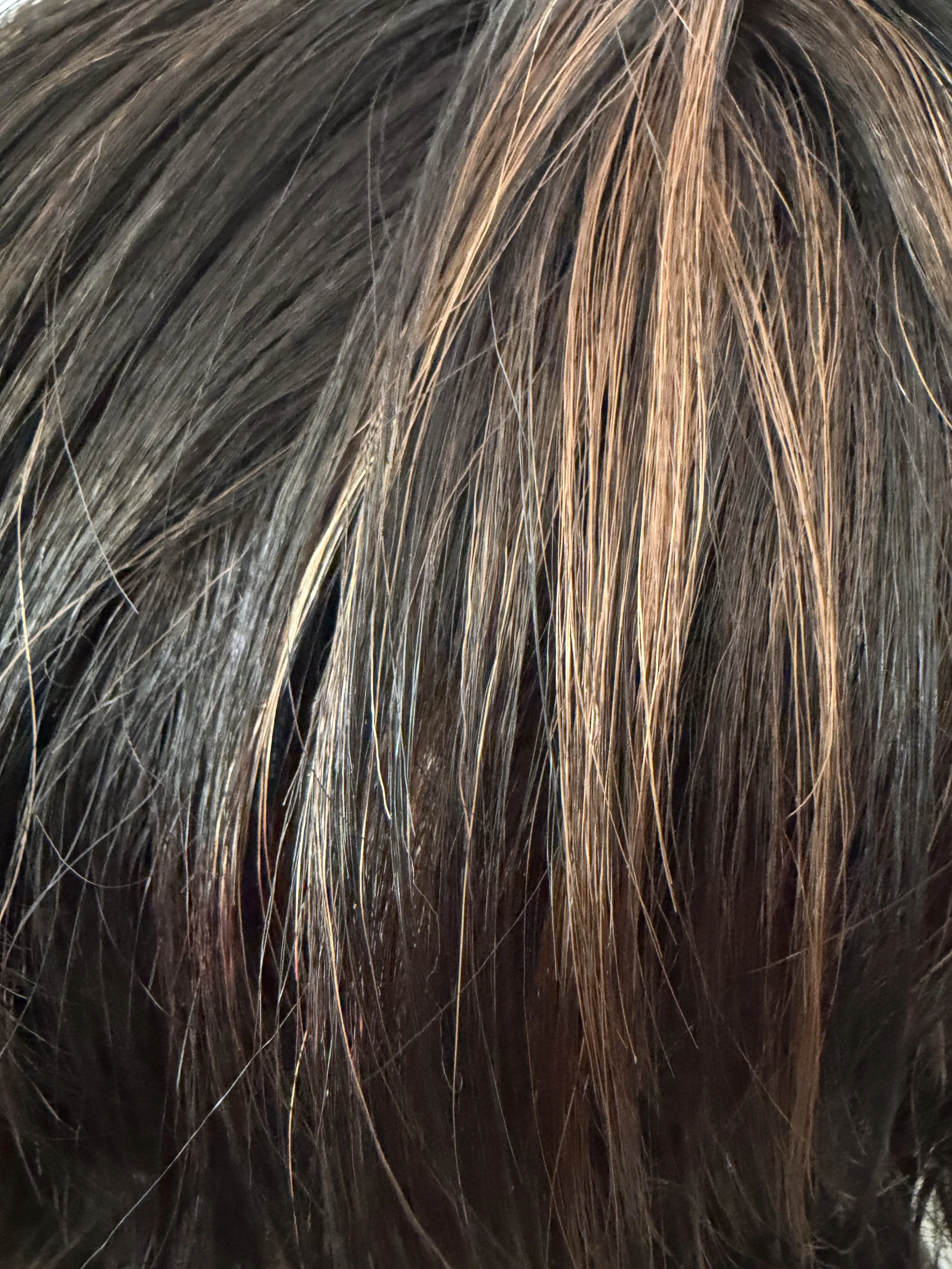 1B:30_Off Black w:Auburn Highlights.JPG