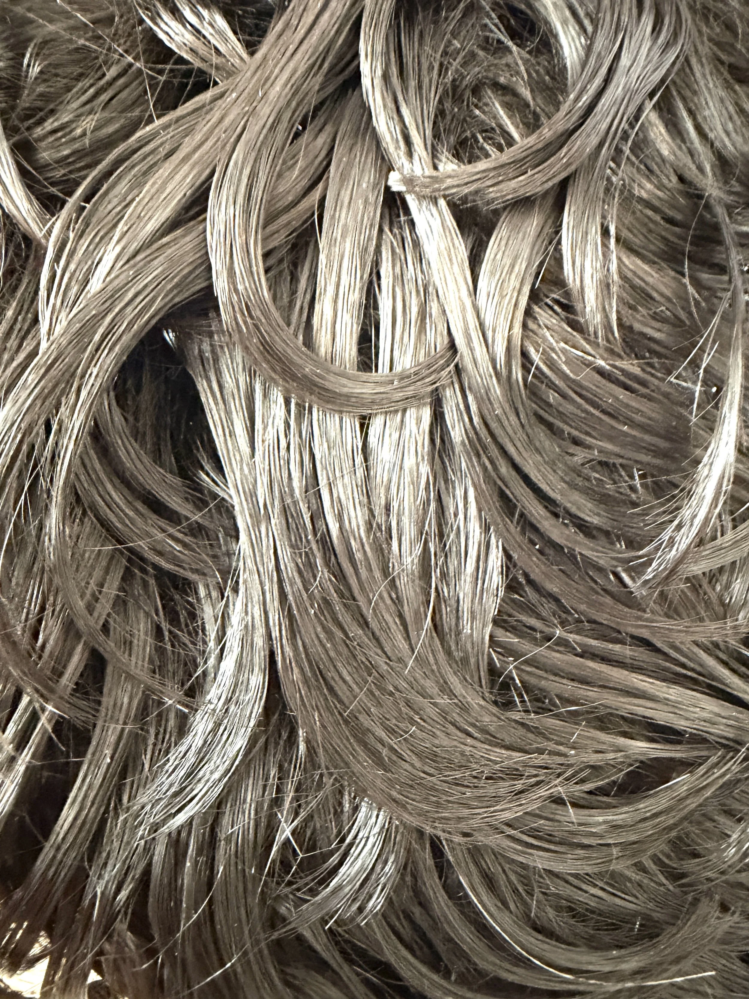 Color 2_Wet Look Synth.jpg