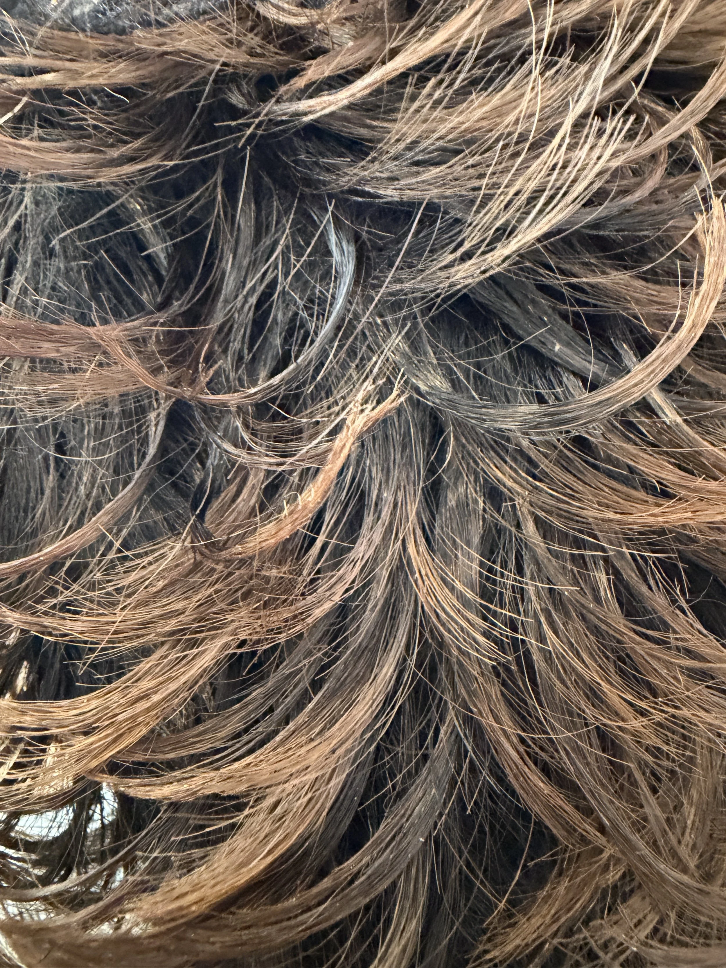 2T1B:30_Off Black and Light Auburn Two-Tone.JPG