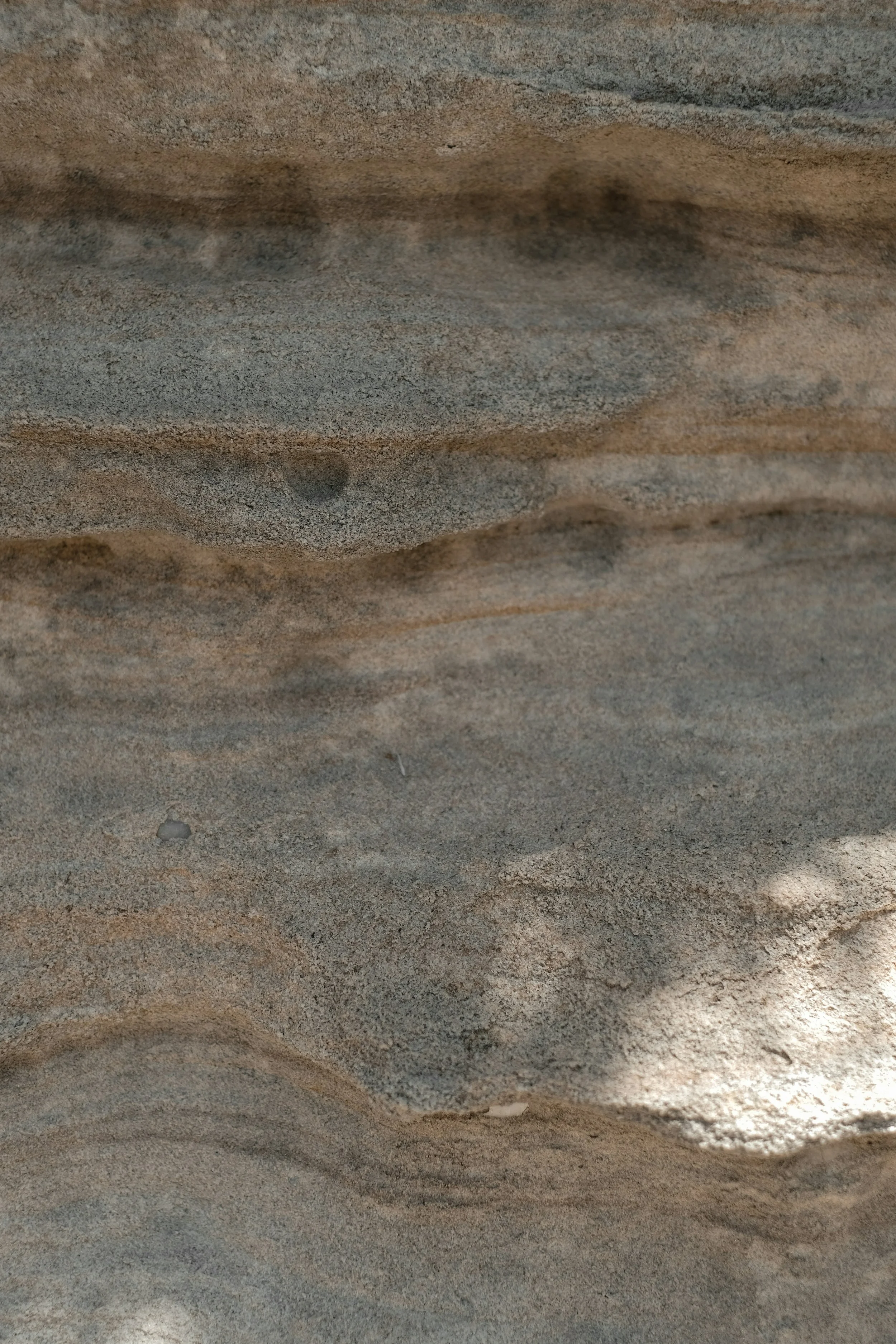 Close-up of layered sandstone rock with smooth and textured surfaces.