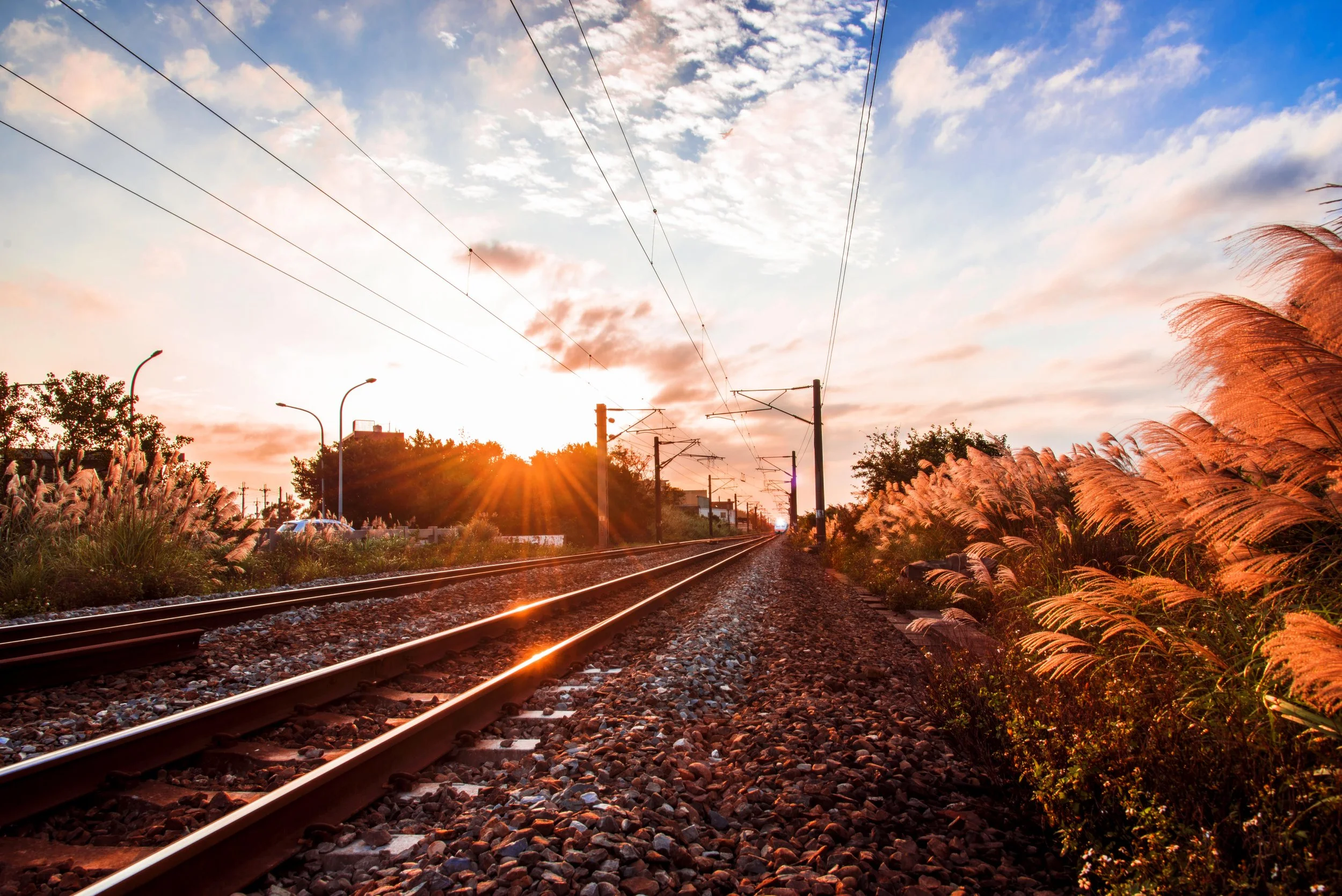 Sunset over a railway track with overhead power lines, surrounded by pink and white flowering plants on both sides.