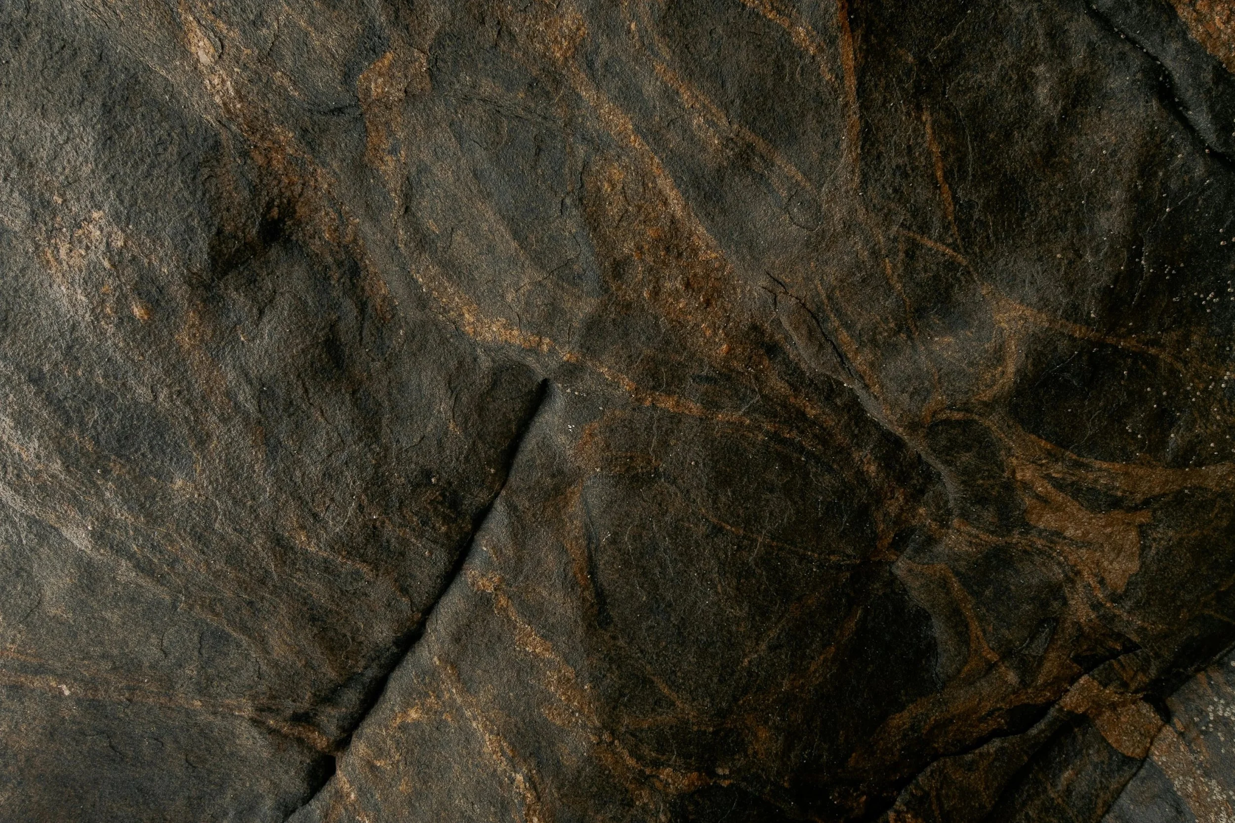 Close-up of a dark rock surface with lighter brown veins and textures.