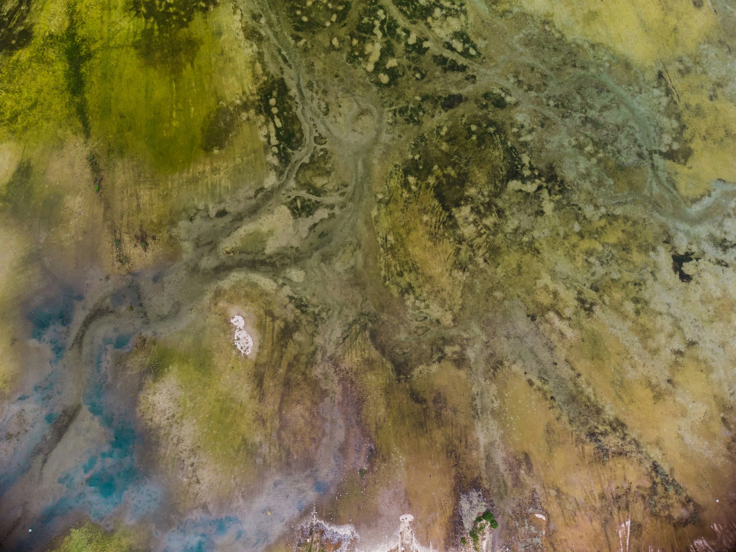 Aerial view of a landscape with winding rivers, green mossy terrain, and patches of bare soil.