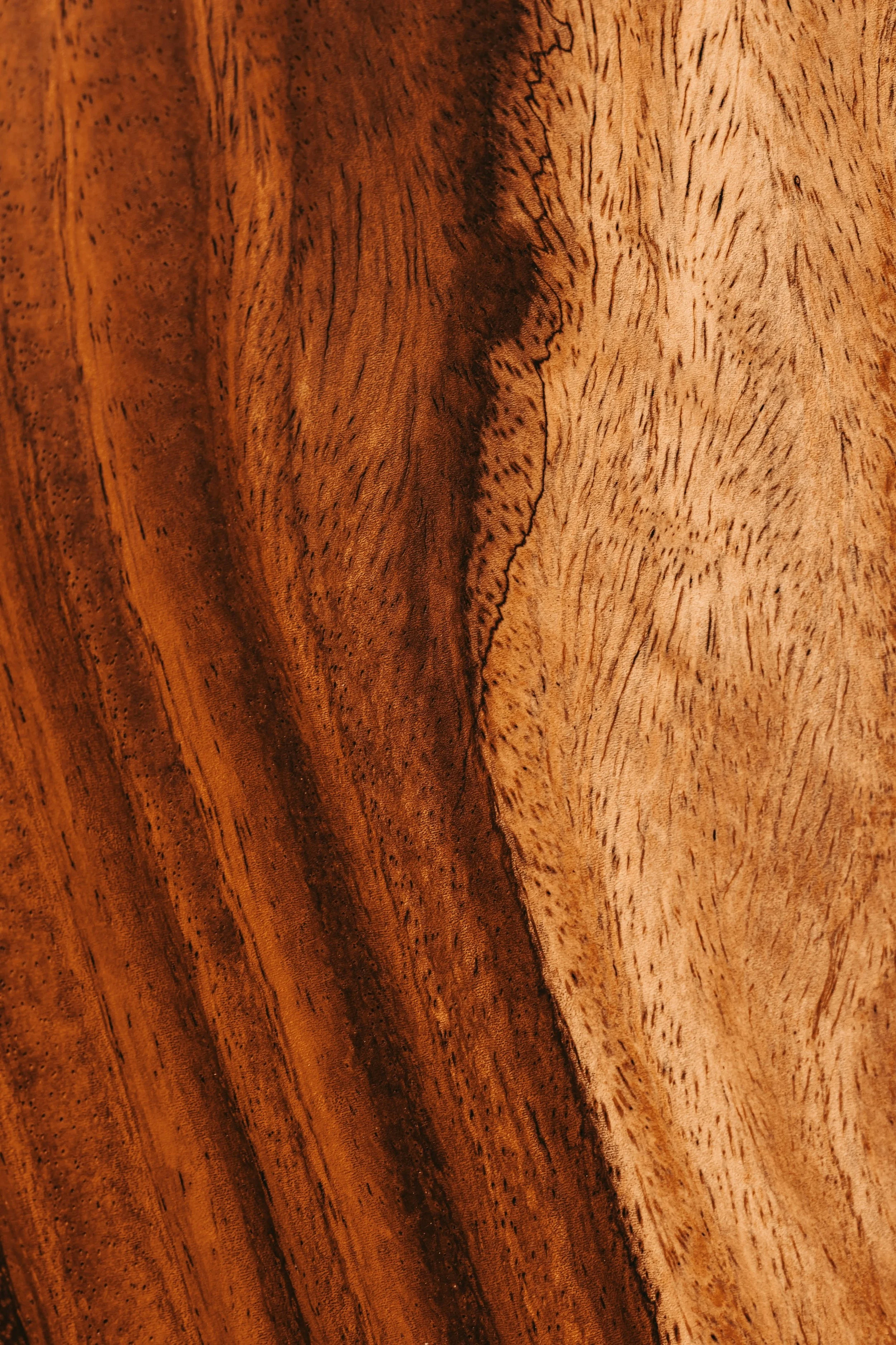 Close-up of a wooden surface showing various grain patterns and textures.