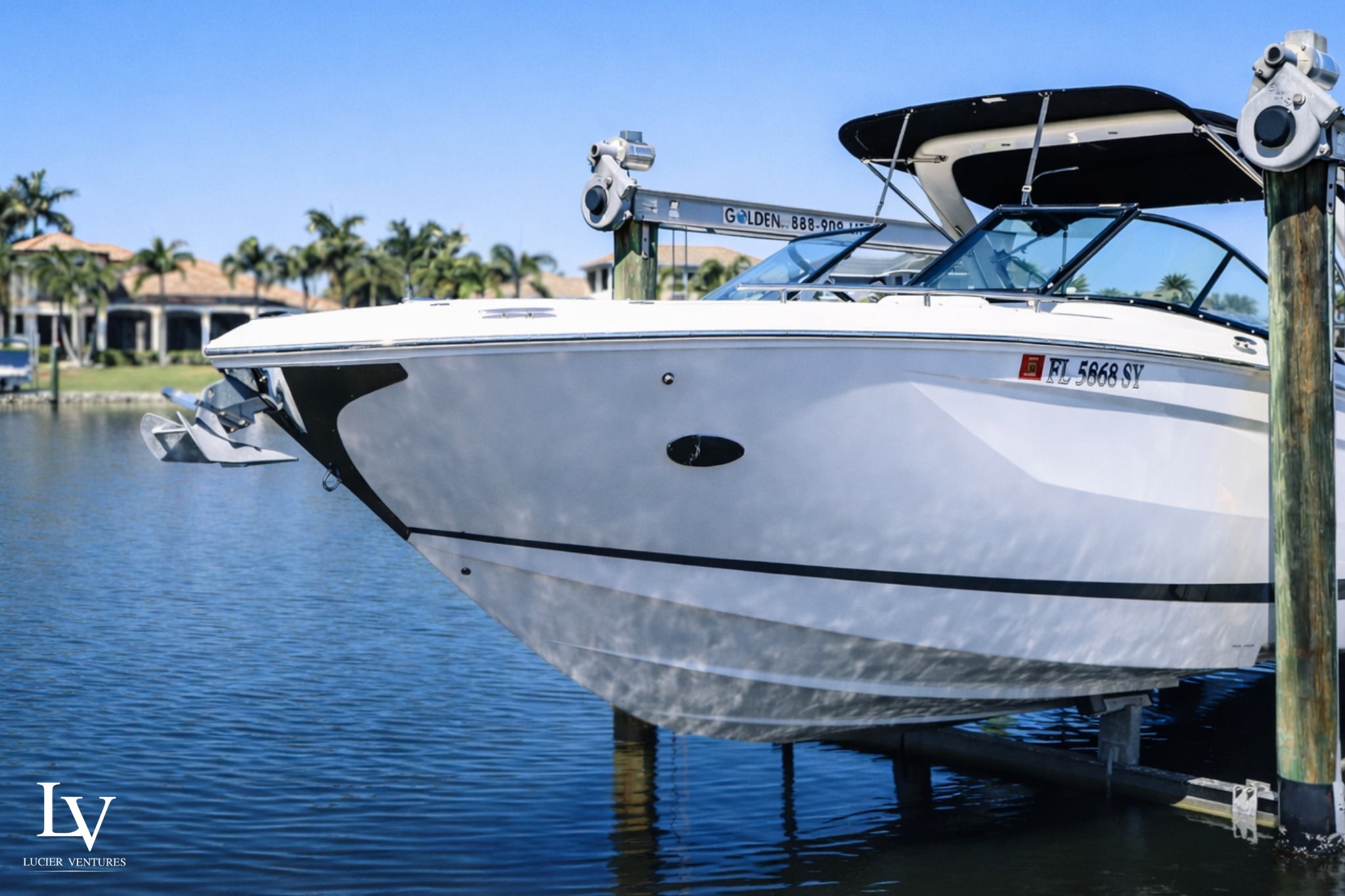 Untitled design (60).png