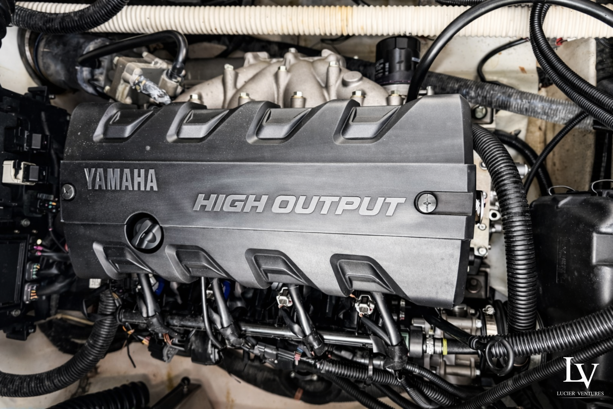 Untitled design - 11.png