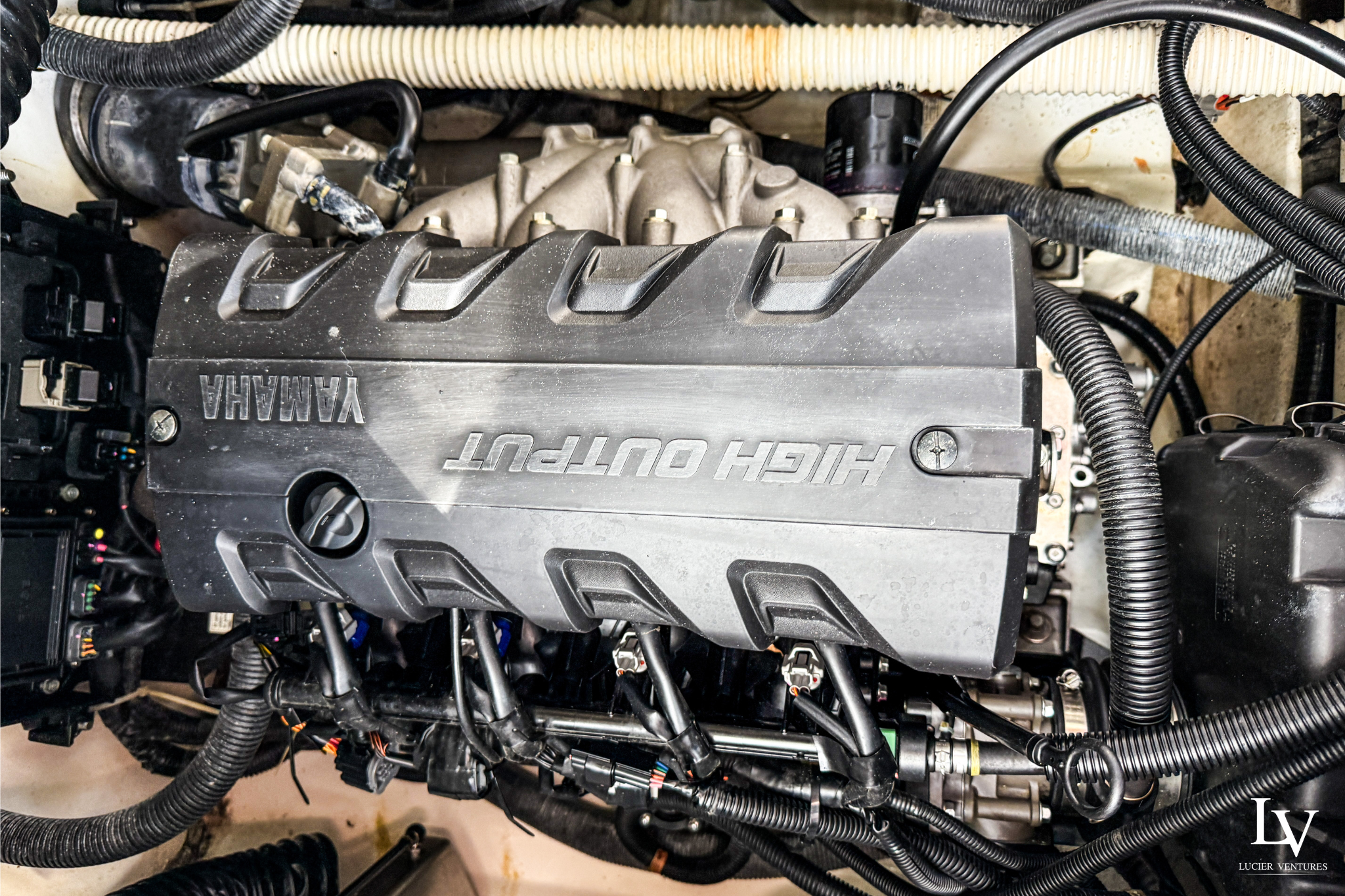 Untitled design (54).png