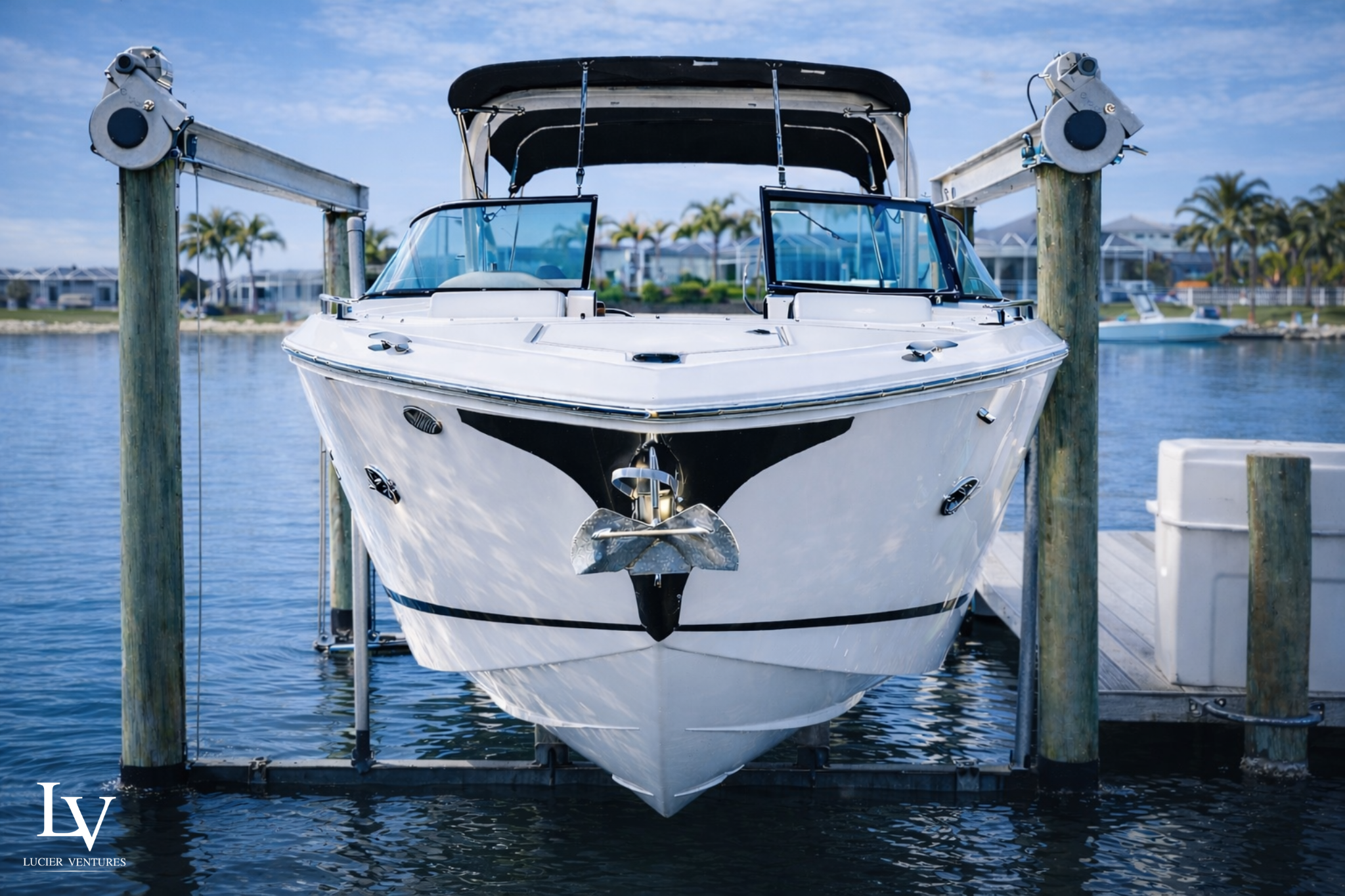 Untitled design (59).png