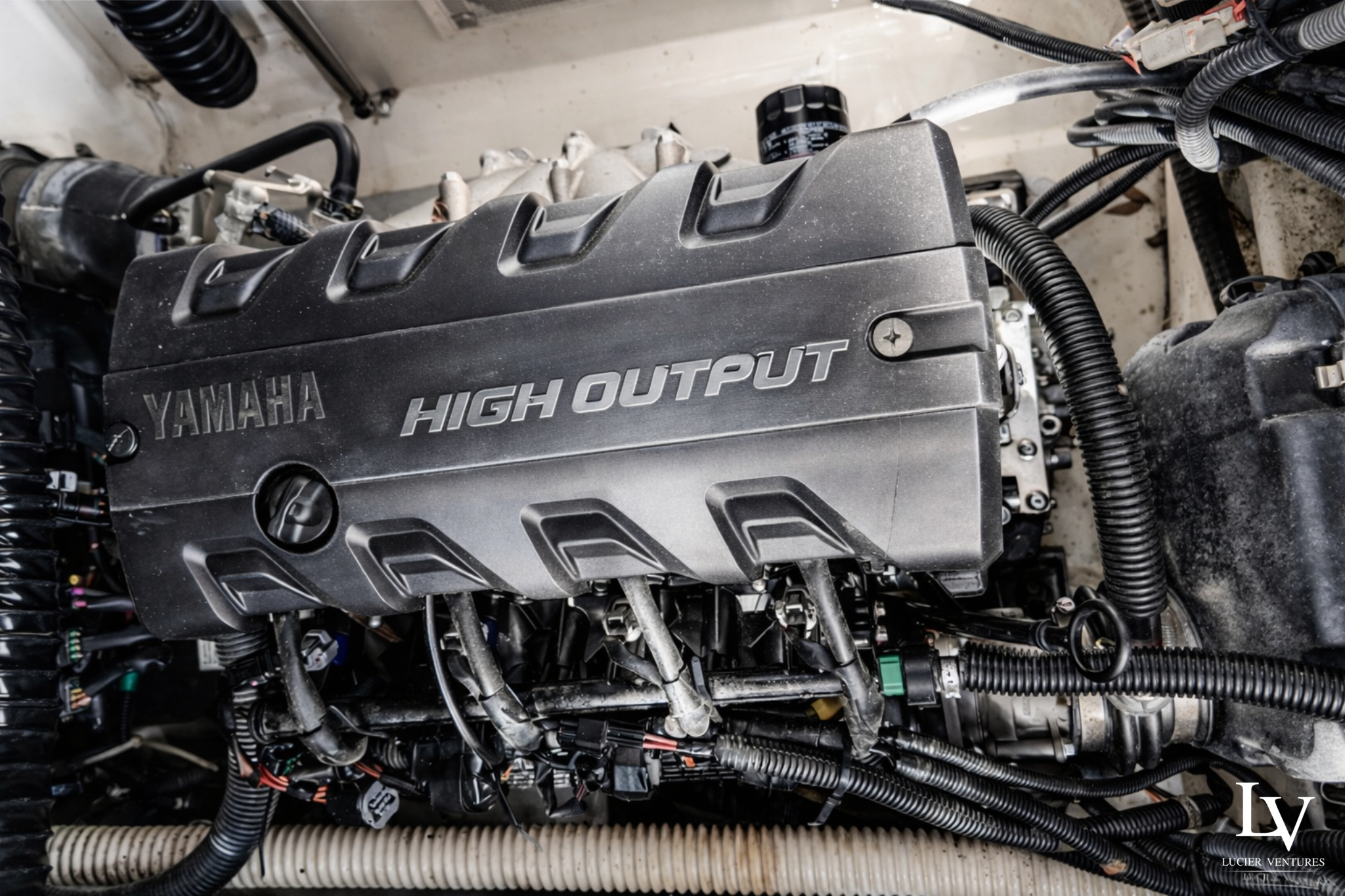 Untitled design - 12.png