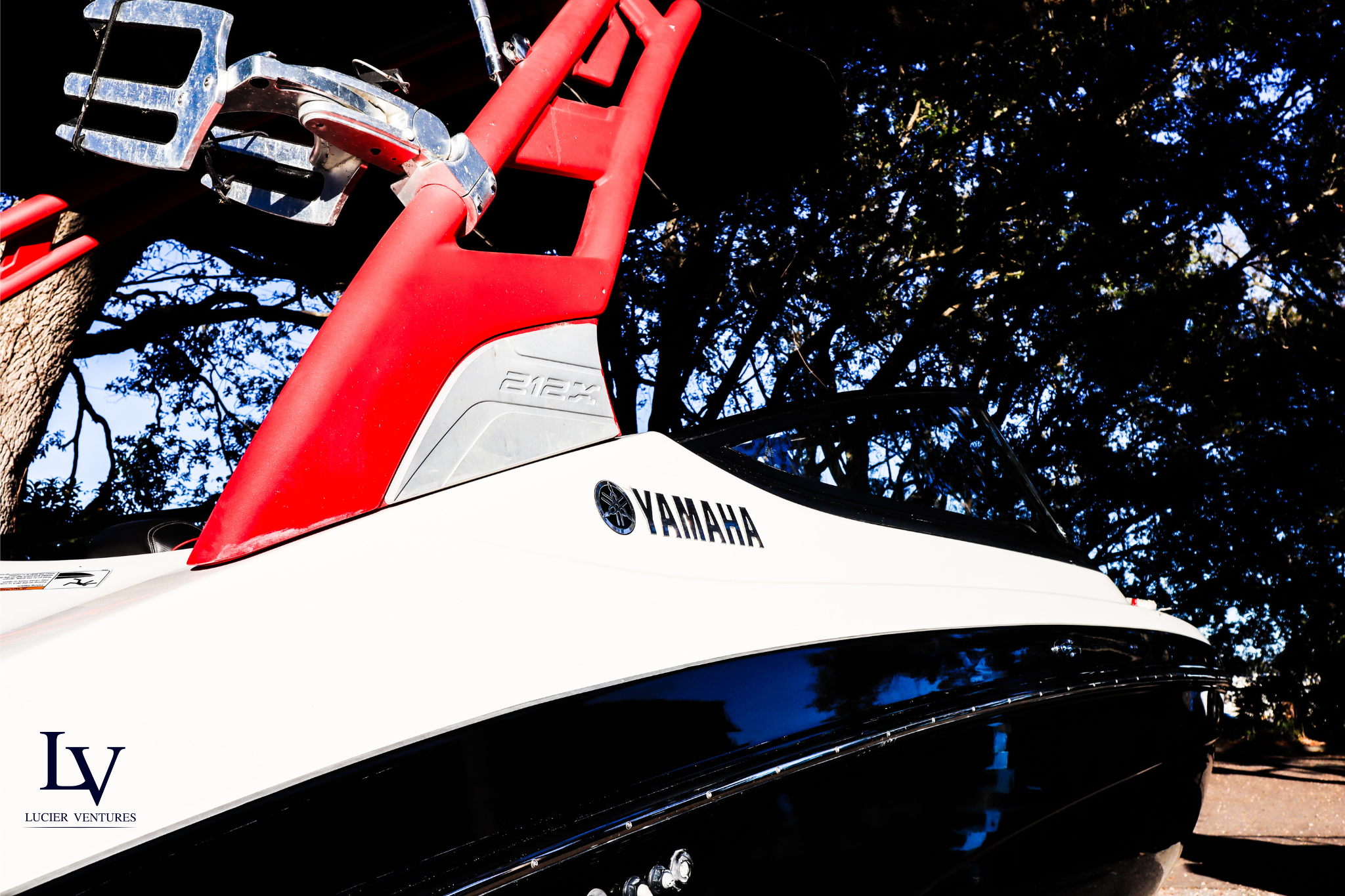 Untitled design (41).png