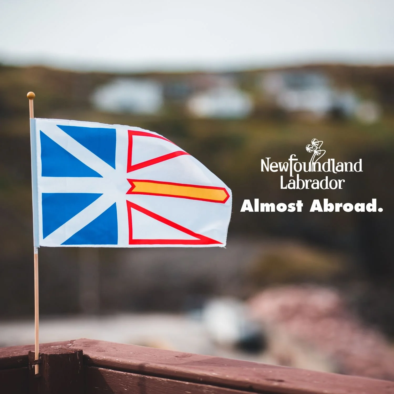 Newfoundland Tourism