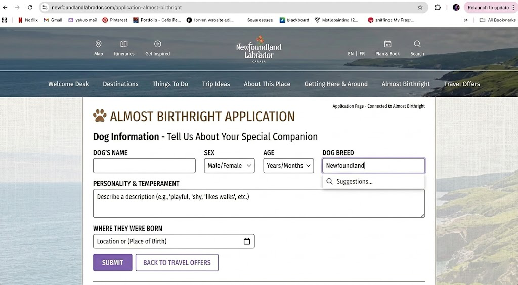 birthright mockup.png