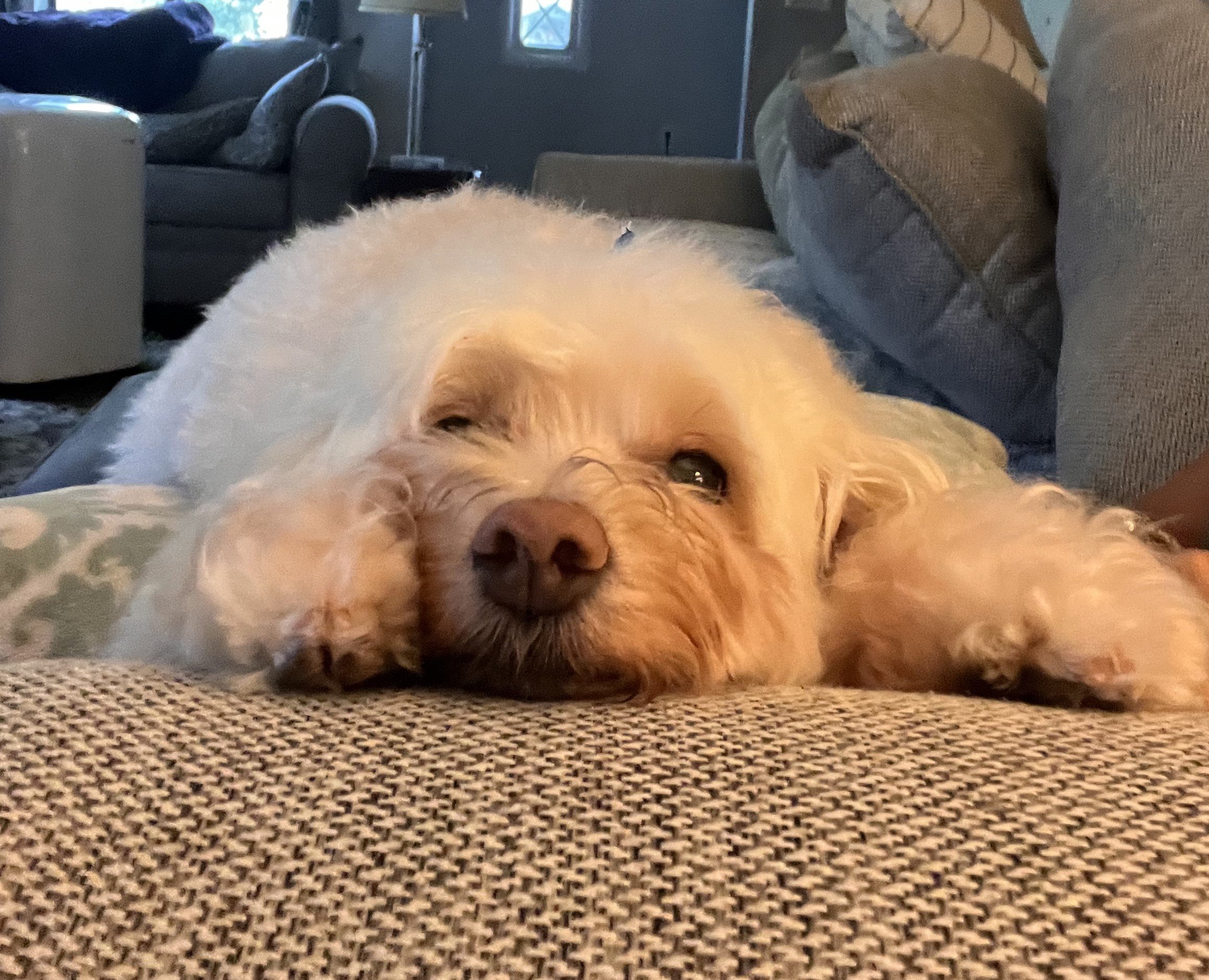 Embracing the Trainwreck: A Guide to Doing Life “Meh"