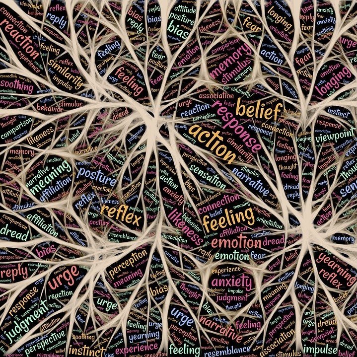 Infrastructure of the Mind