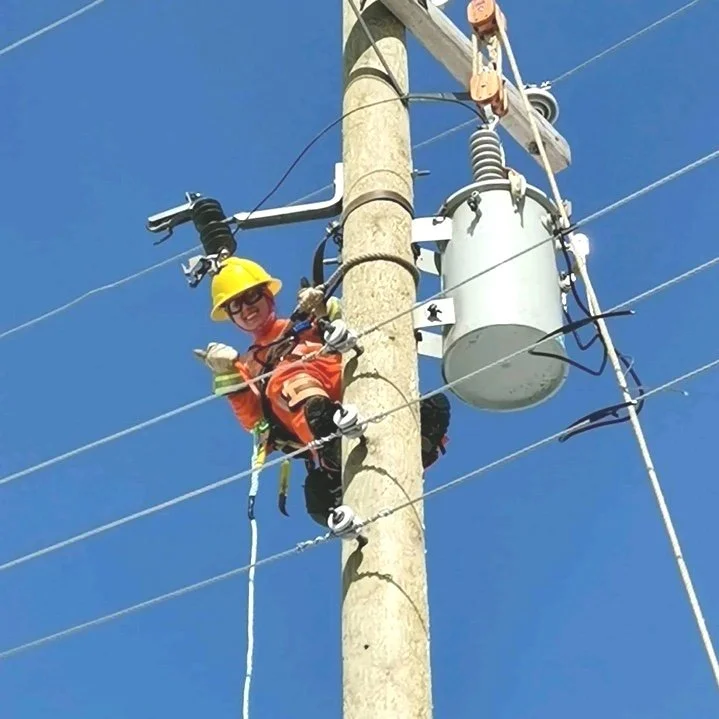 Nerves of Steel, Arms of a Warrior Goddess