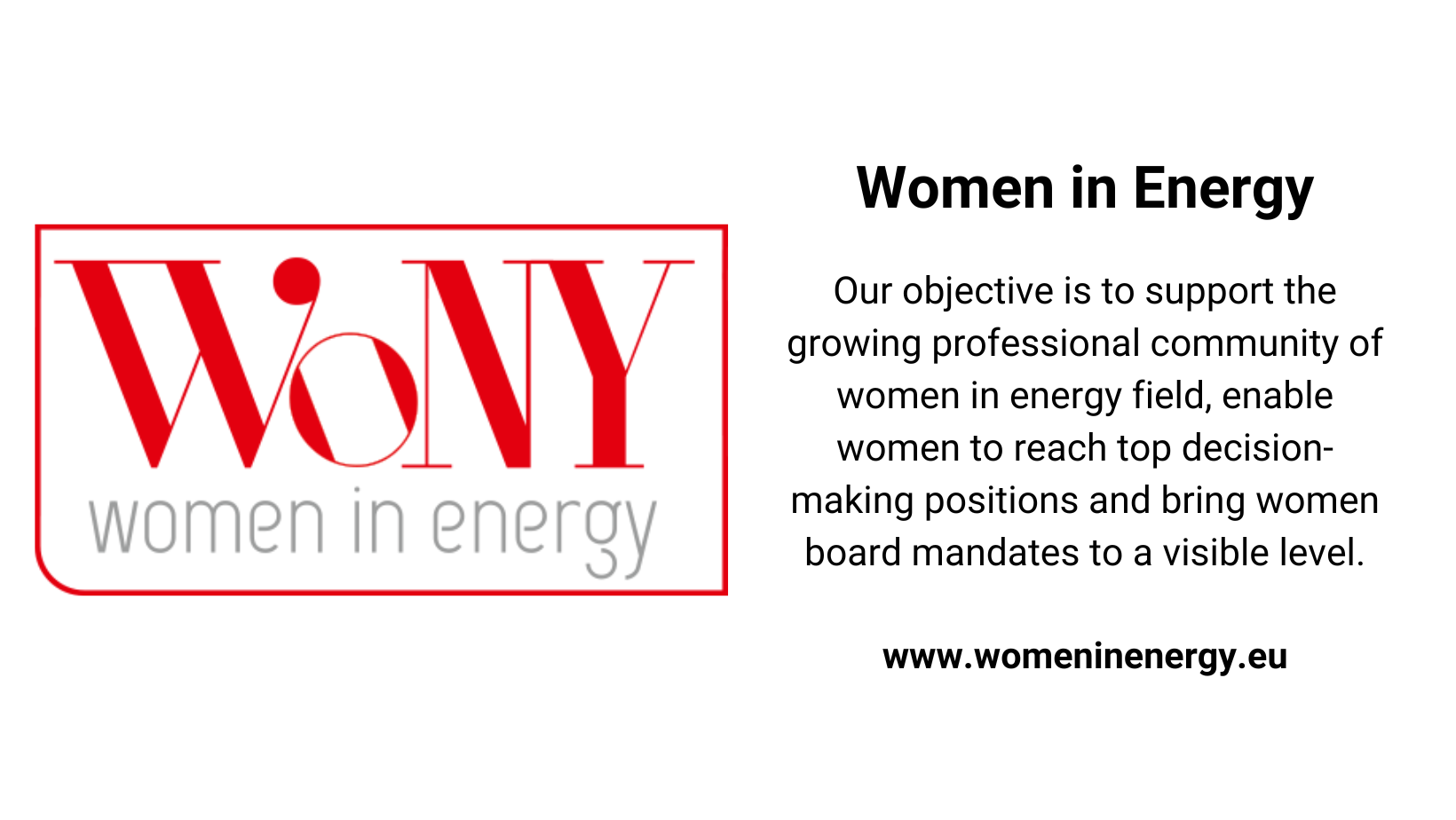 Women in Energy (Copy)