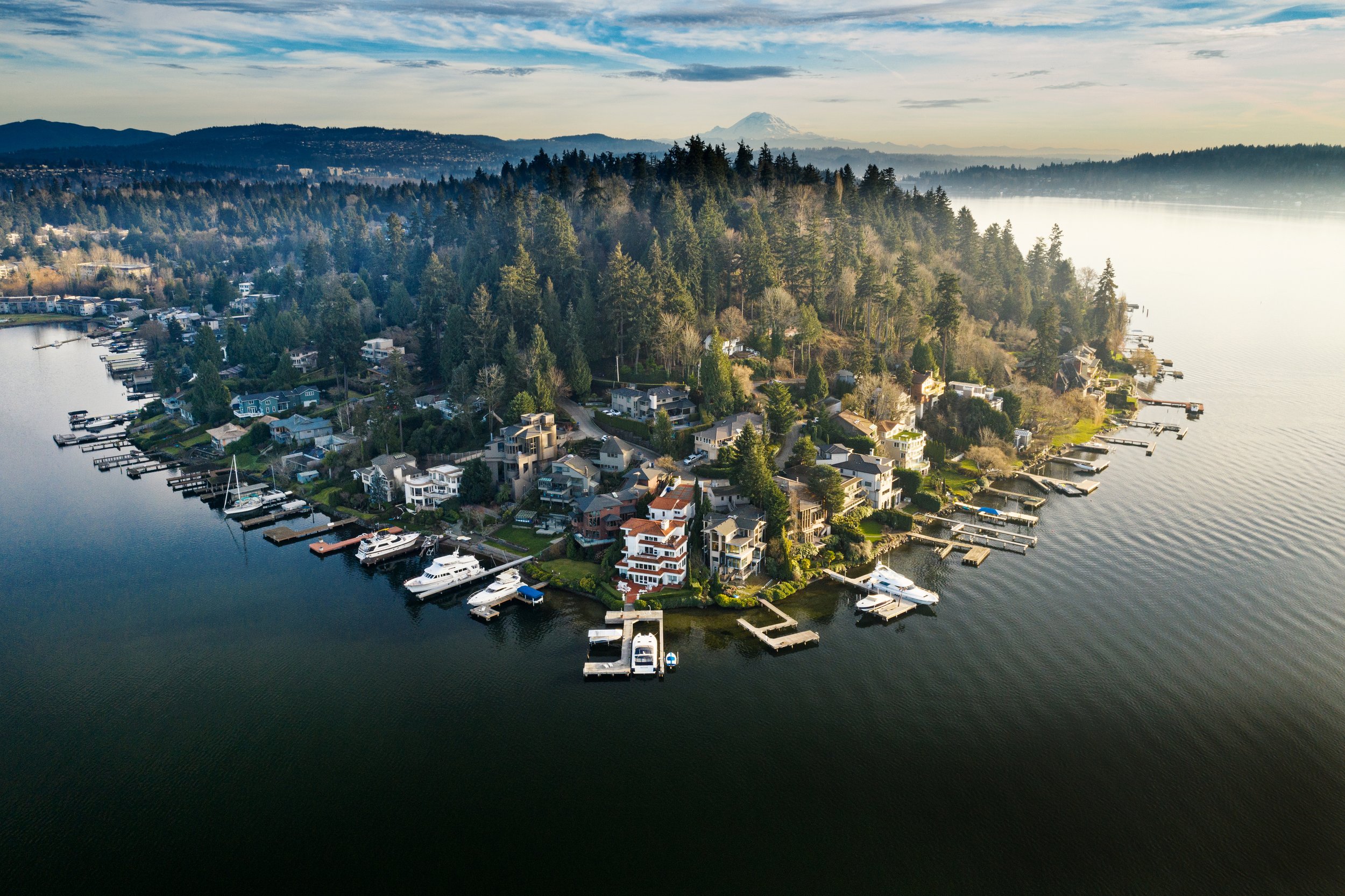 Aerial view of a lakeside residential area with houses, boats, and docks, surrounded by dense trees and hills, with mountain in the distance.
