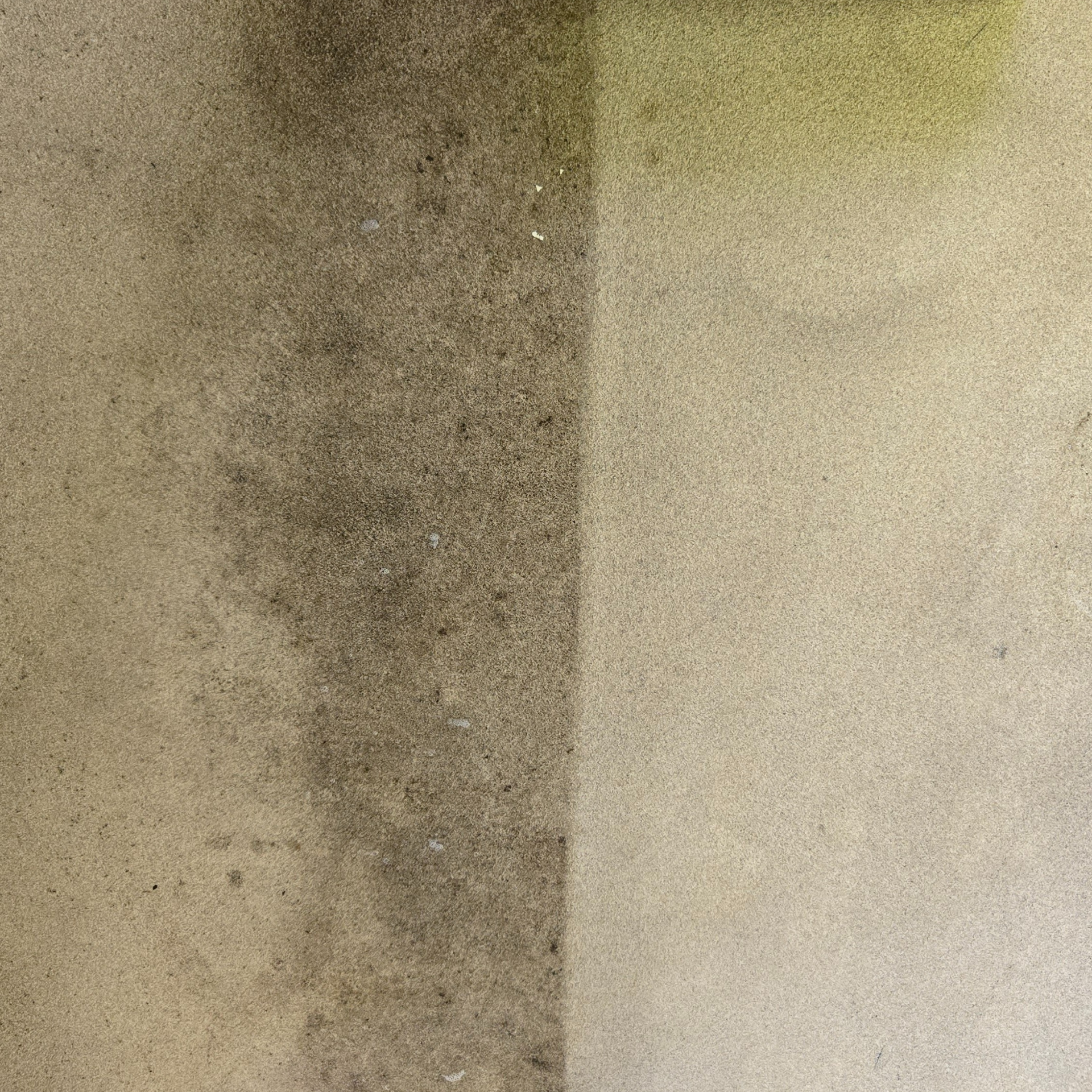 Untitled design (6).png