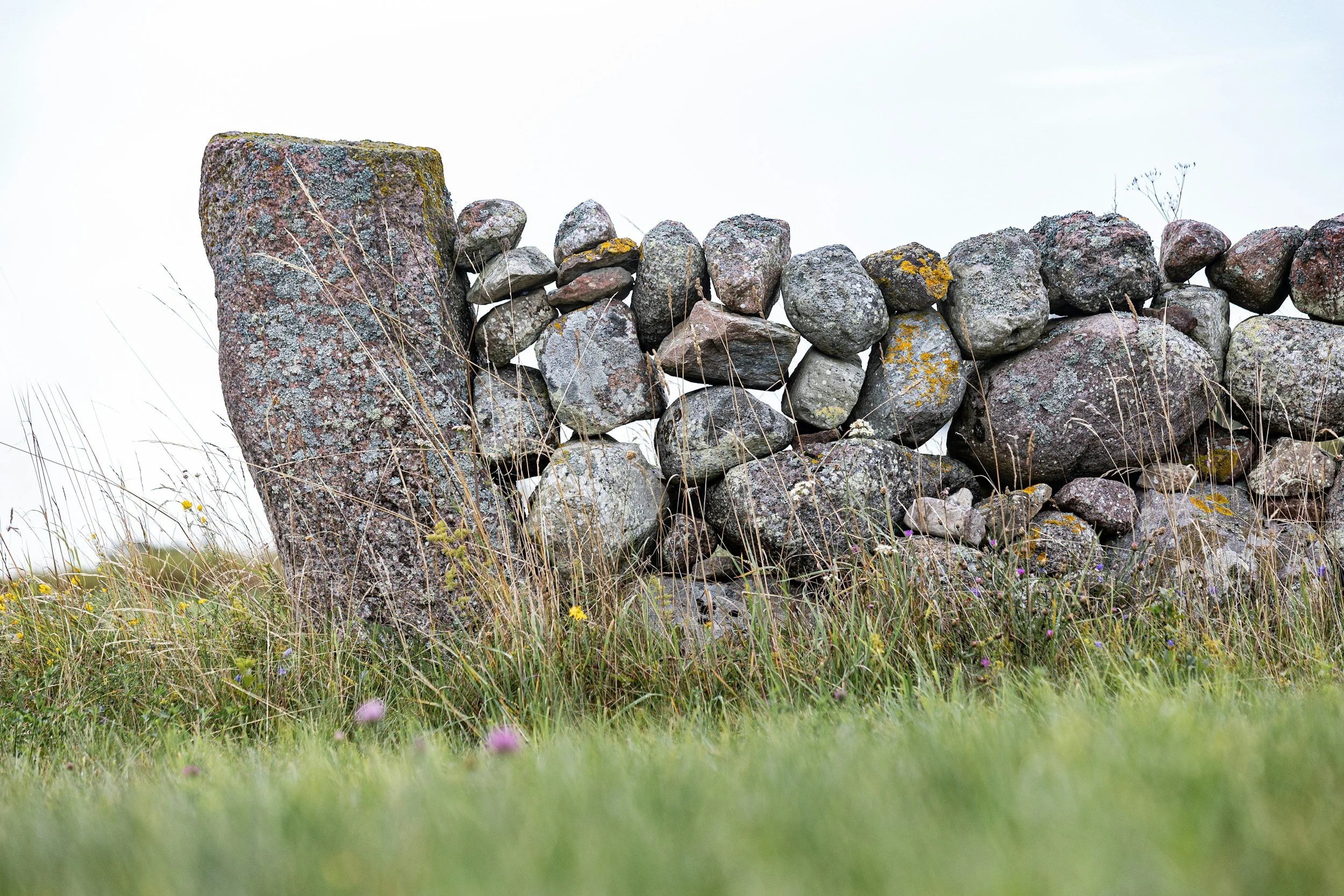 An old stone wall made of various-sized rocks in a grassy field with wildflowers, under a cloudy sky.