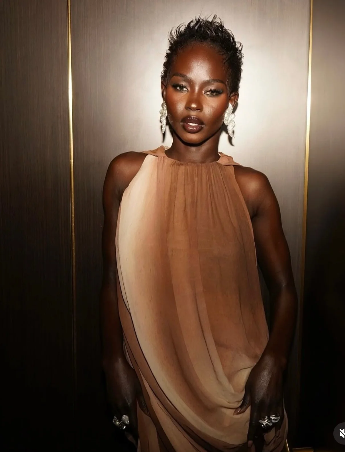 A woman with short, curly black hair and dark skin wearing a tan-colored, sleeveless dress with a draped design, standing in front of a dark wooden background. She is adorned with large, sparkling earrings and rings, and has dark lipstick and makeup.