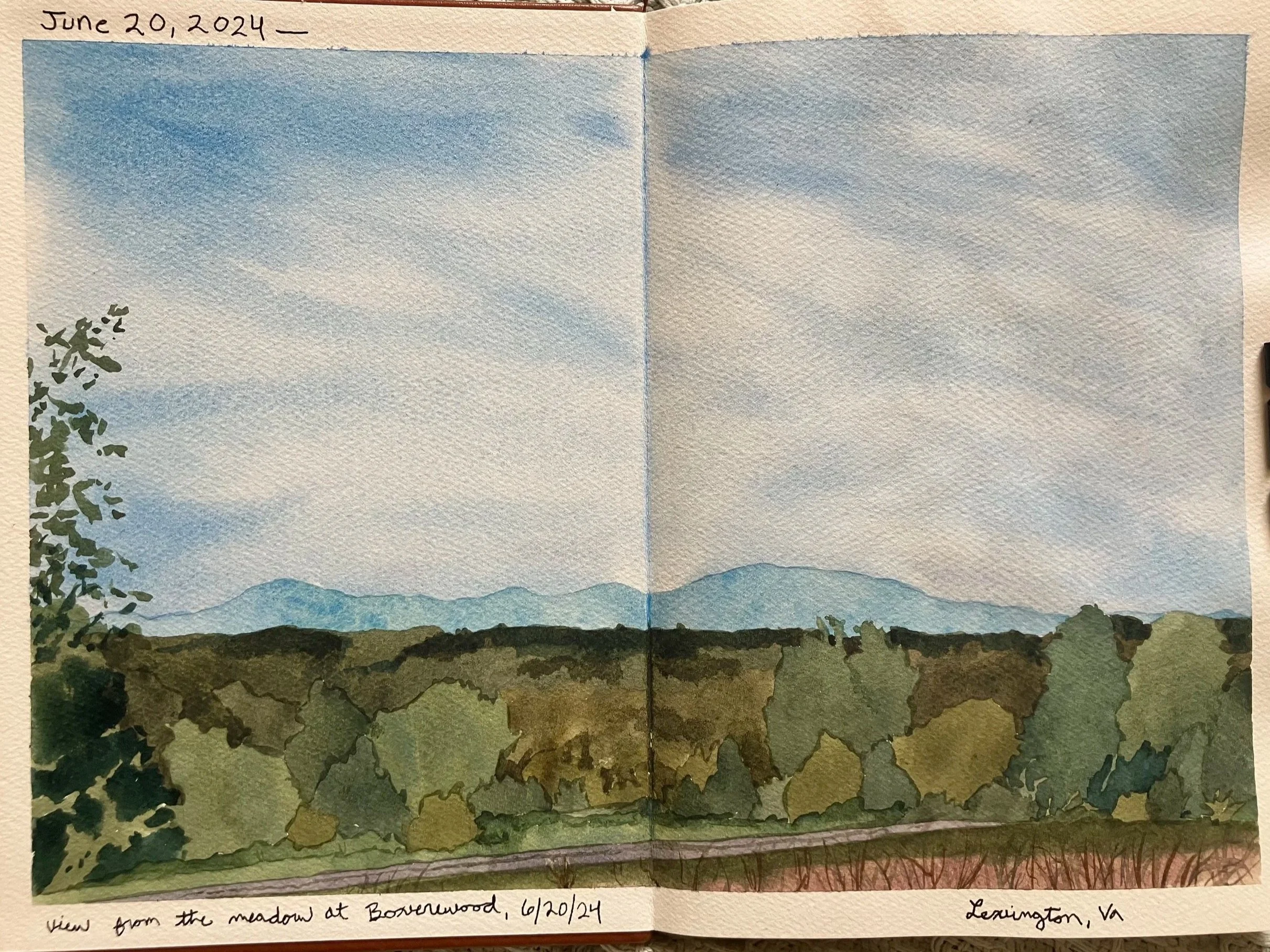 A landscape sketch of the view from the meadow at Boxerwood in Lexington, KY in summertime.