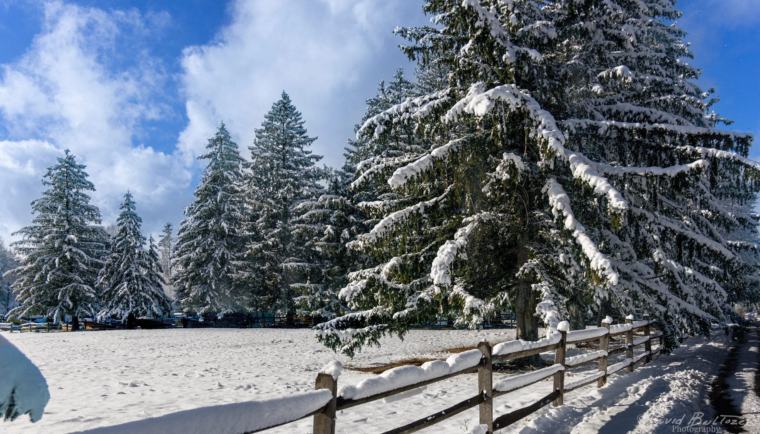 First Snow