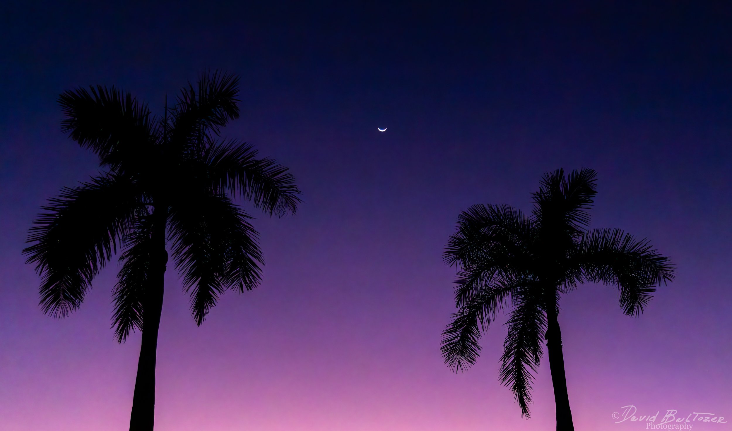 Moon Shine Too