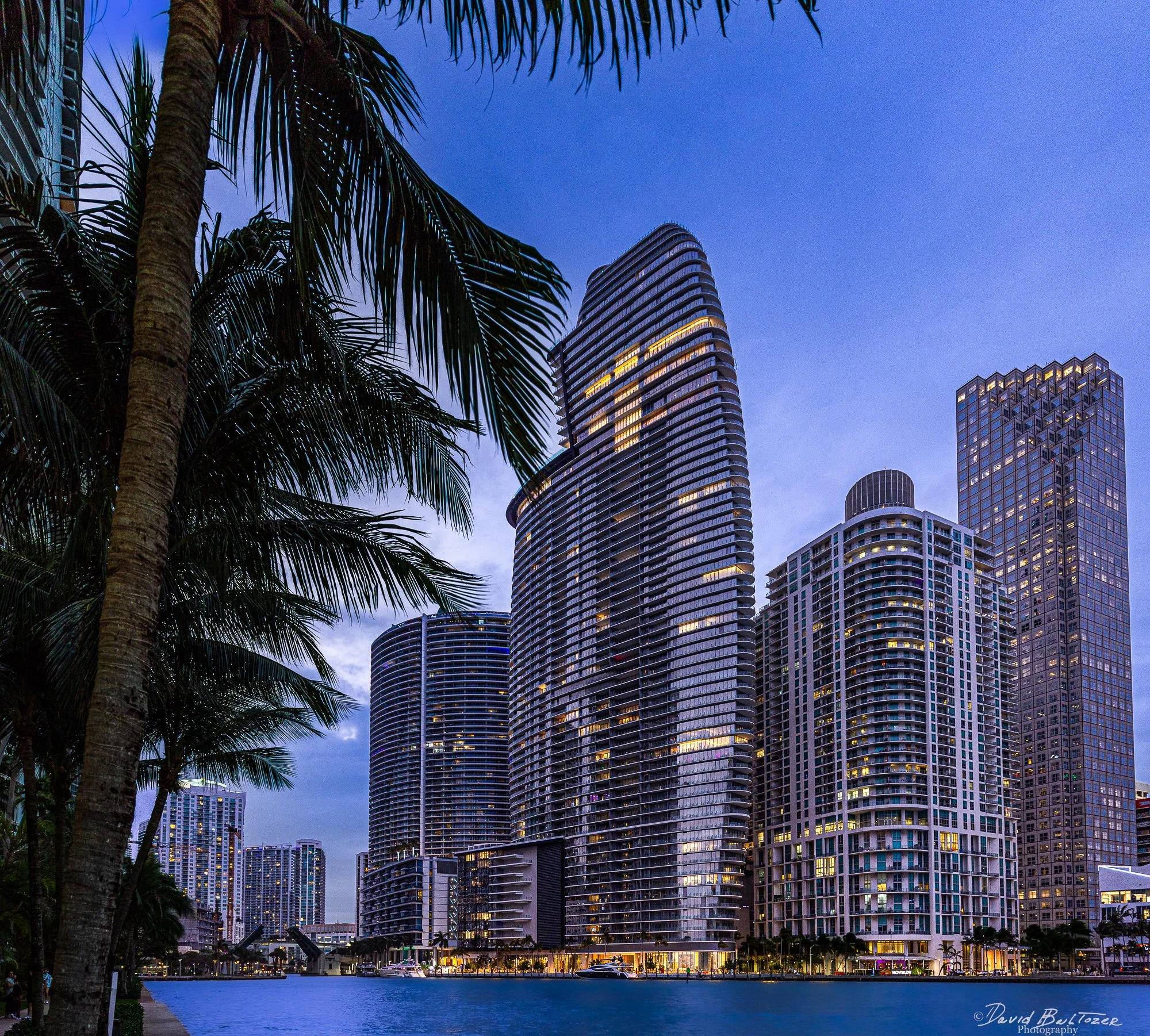 Tropical Skyline, Miami Florida