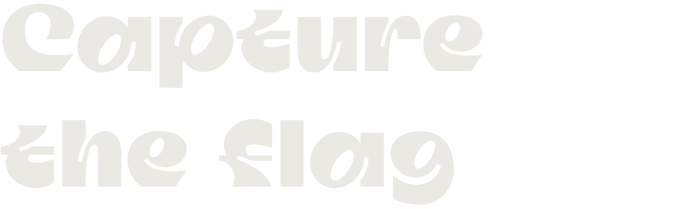 Capture the Flag - tekst