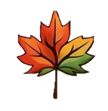 Colorful autumn maple leaf with multiple shades of red, orange, yellow, and green.