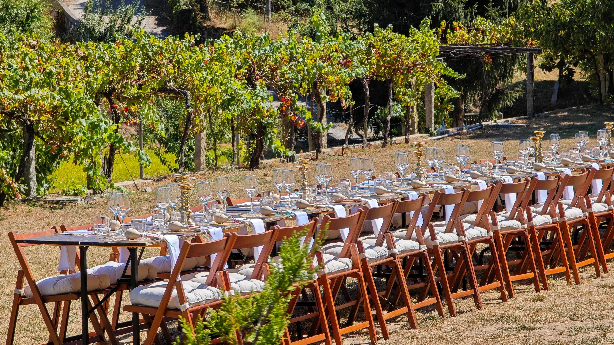 Mesa de jantar ao ar livre com cadeiras de madeira, taças de vinho, talheres, pratos e velas, em um ambiente externo com vinhedos ao fundo.
