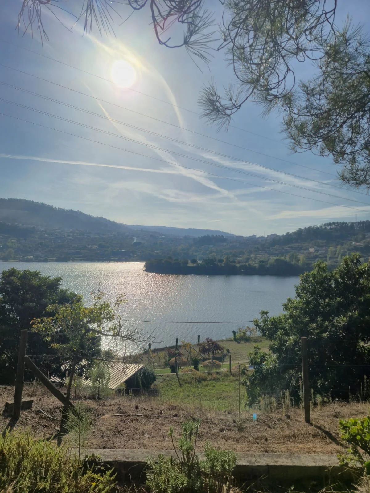 WhatsApp Image 2025-11-25 at 13.18.39 (1).jpeg