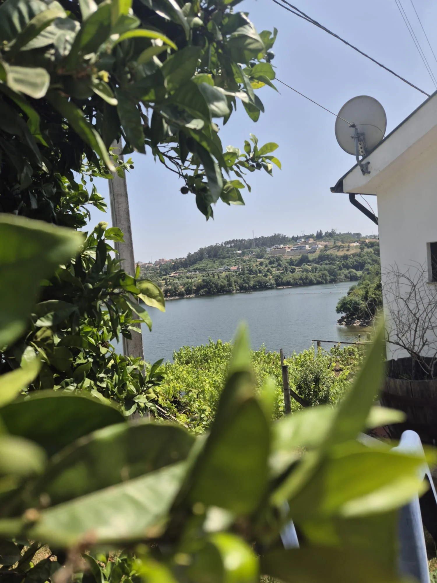 WhatsApp Image 2025-09-22 at 14.58.40 (1).jpeg