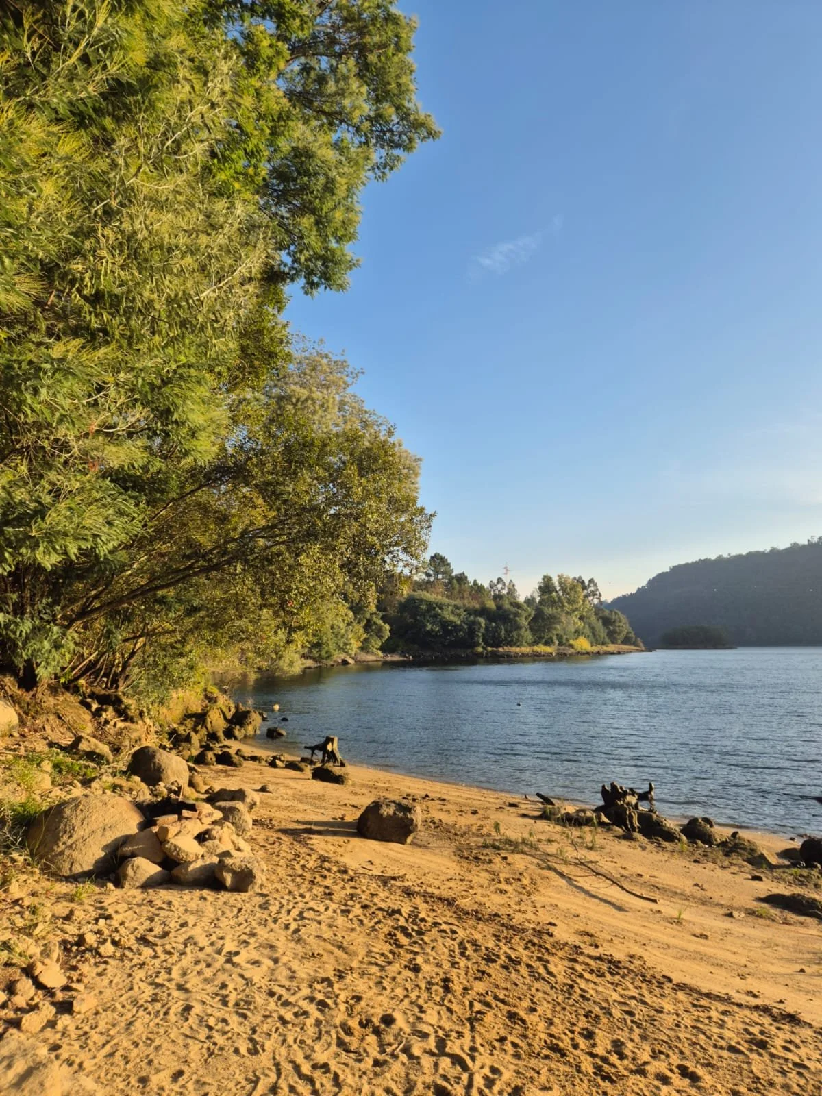 WhatsApp Image 2025-12-04 at 18.21.27.jpeg