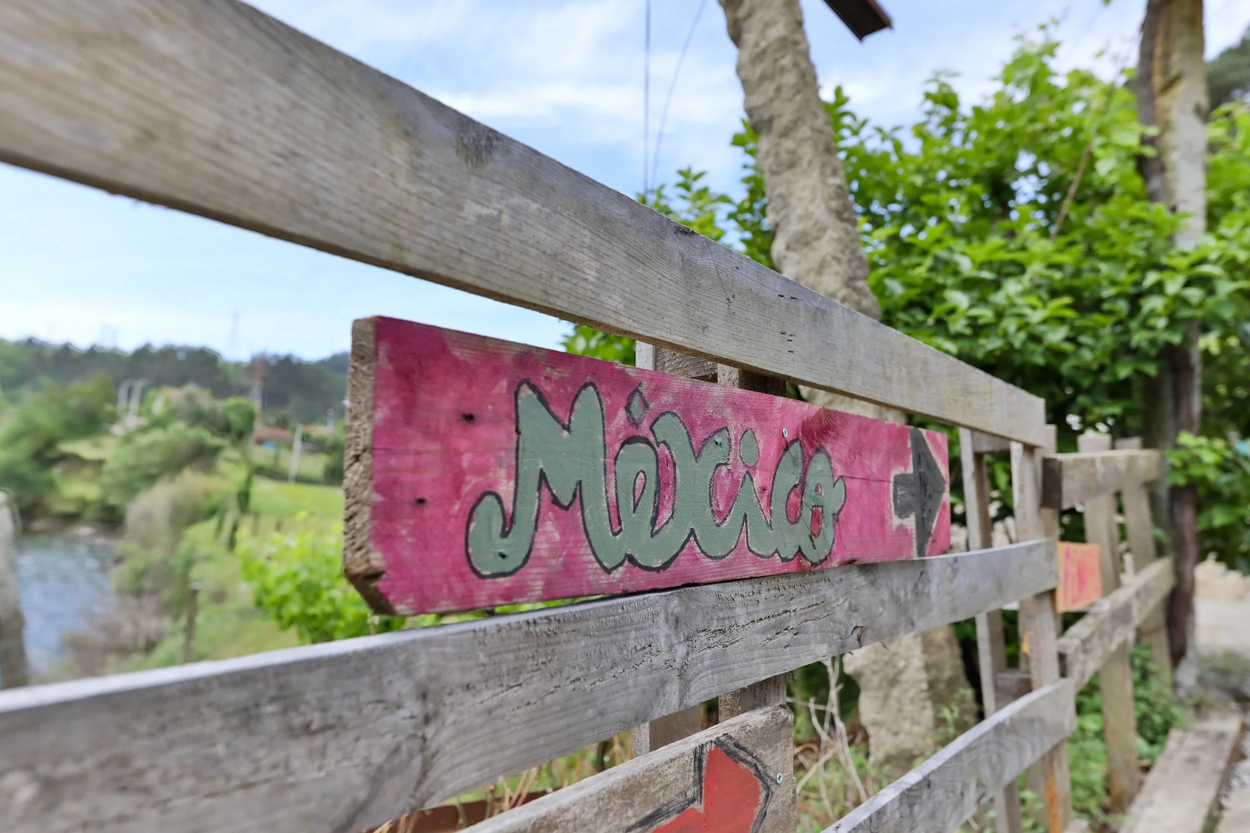 Placa de madeira pintada de rosa com a palavra 'México' escrita em letras grandes e pretas, com uma seta apontando para a direita, fixada em uma cerca de madeira ao lado de árvores e vegetação ao fundo.
