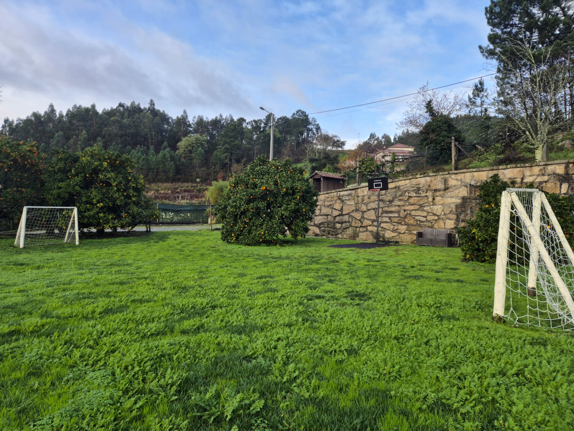 Campo de futebol com grama verde, duas pequenas metas, árvores de laranja, muro de pedra e árvores em uma encosta ao fundo.