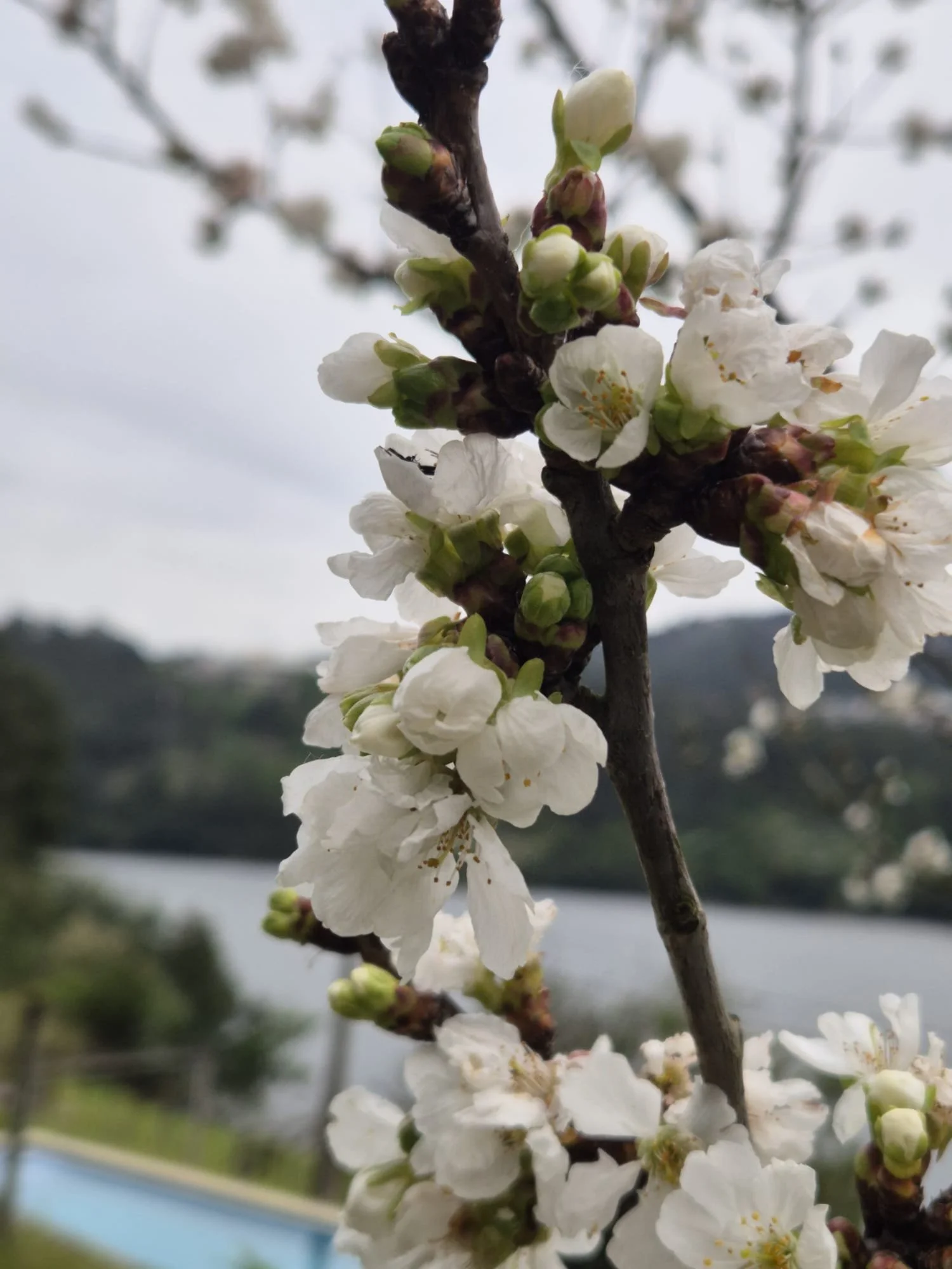 WhatsApp Image 2025-12-04 at 18.29.54.jpeg