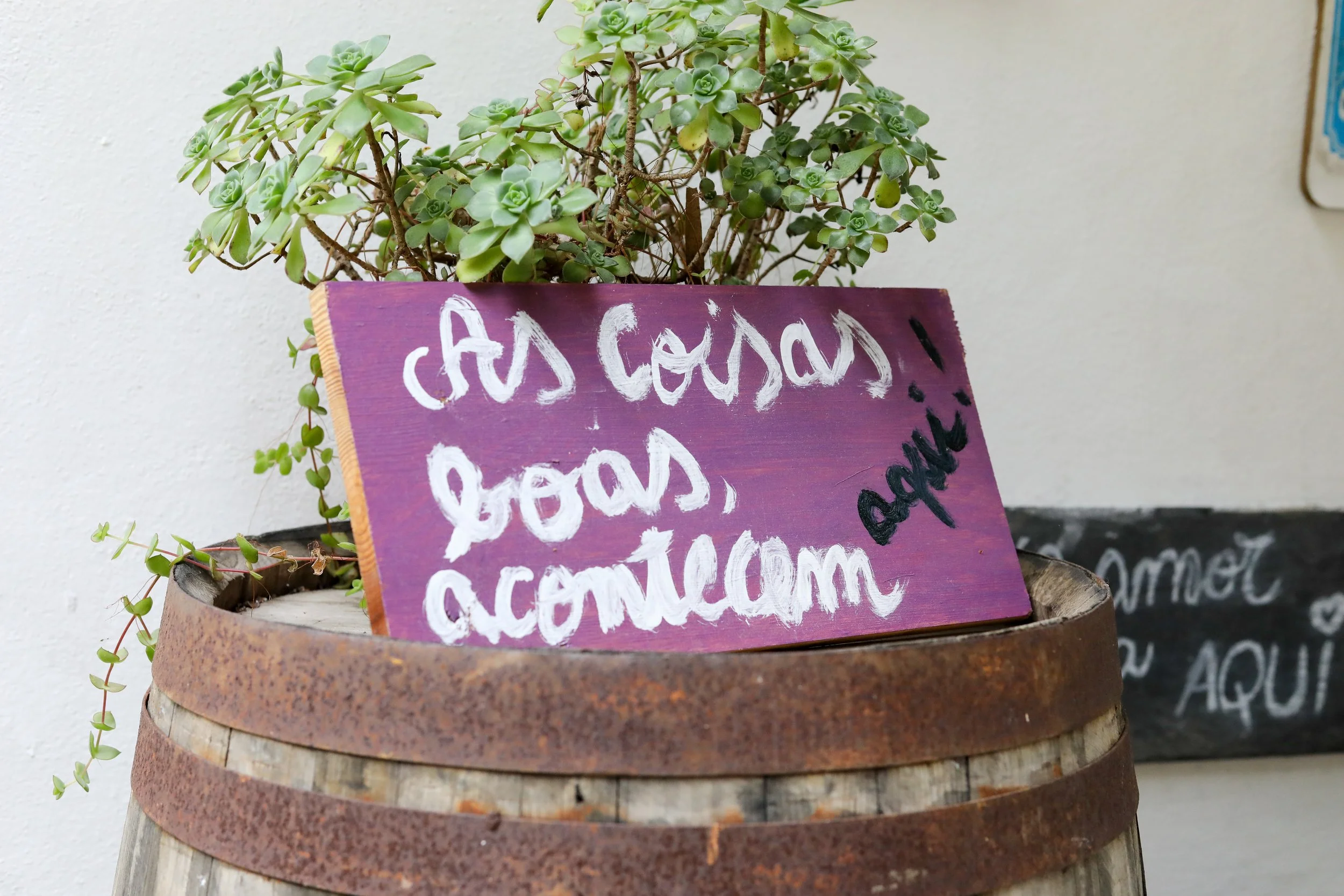 Planta suculenta em vaso de tronco de árvore com cartaz roxo escrito à mão dizendo 'As casas boas acontecem' e assinatura 'Aline' ao lado.
